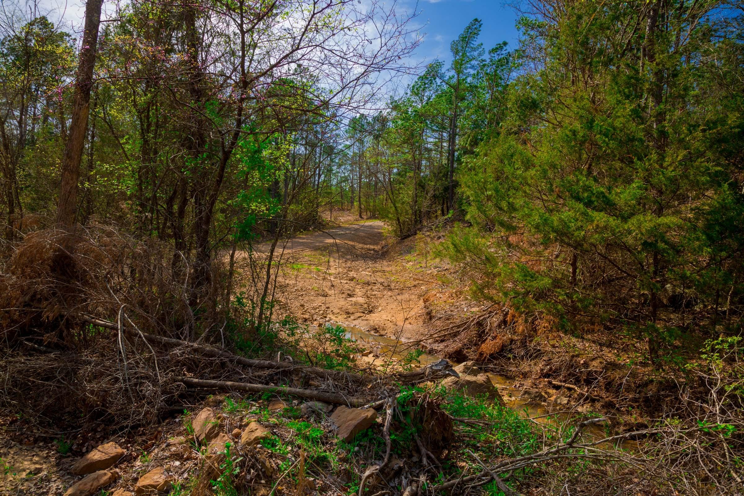 Stone Creek Phase II Tract 258 photo 13