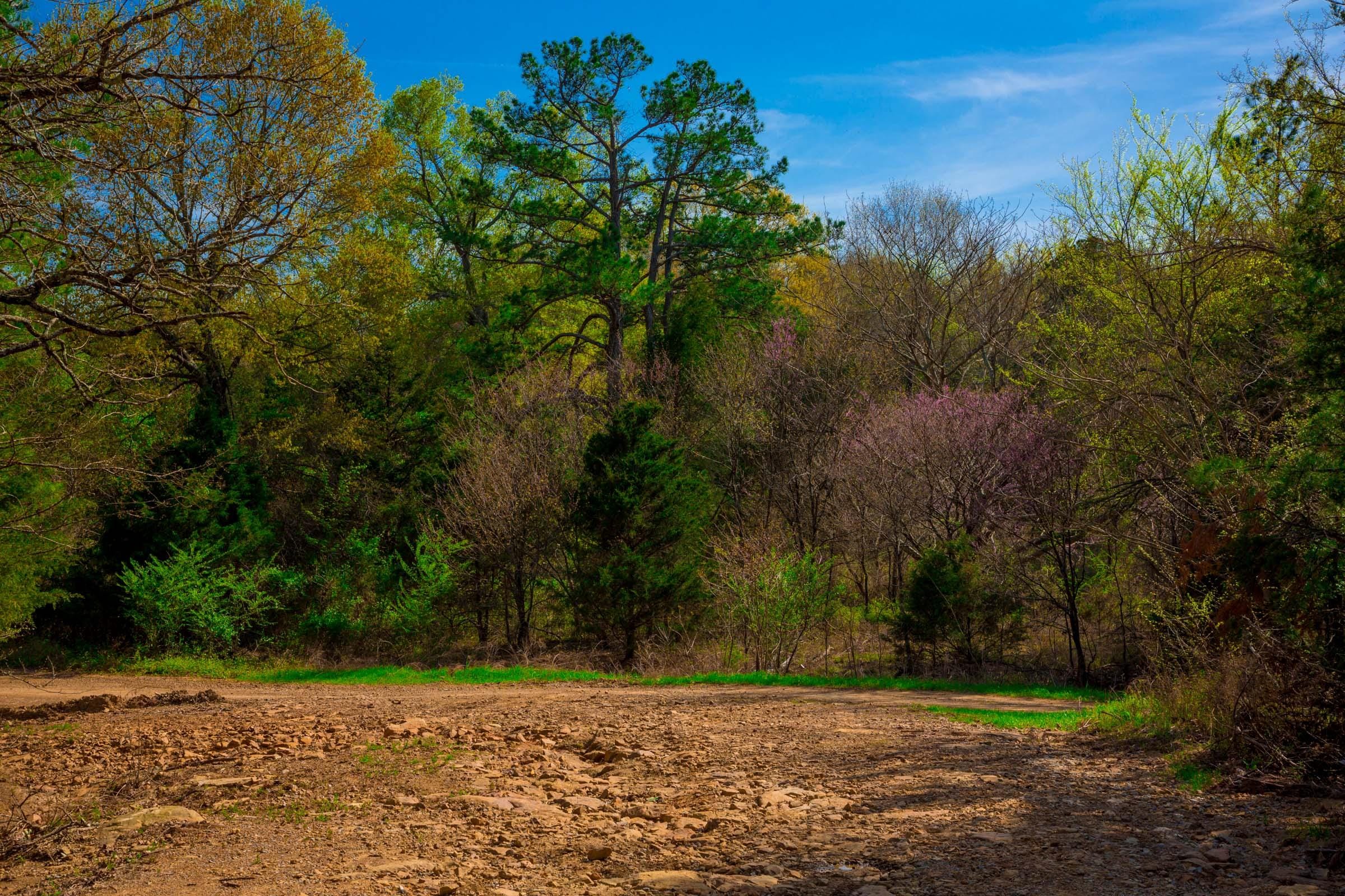 Stone Creek Phase II Tract 258 photo 14