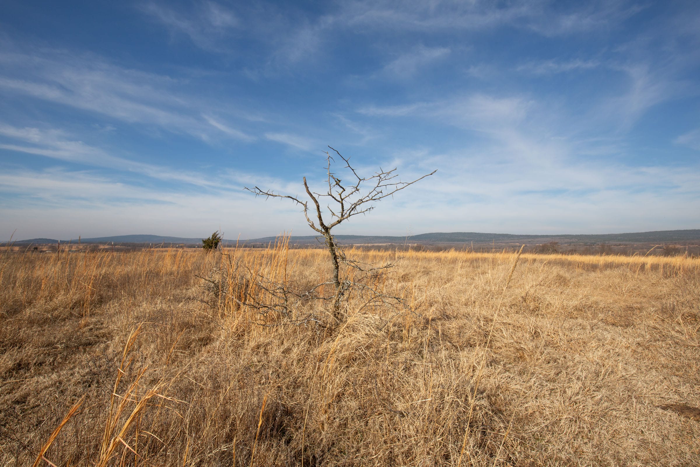Painted Horse Tract 17 photo 1
