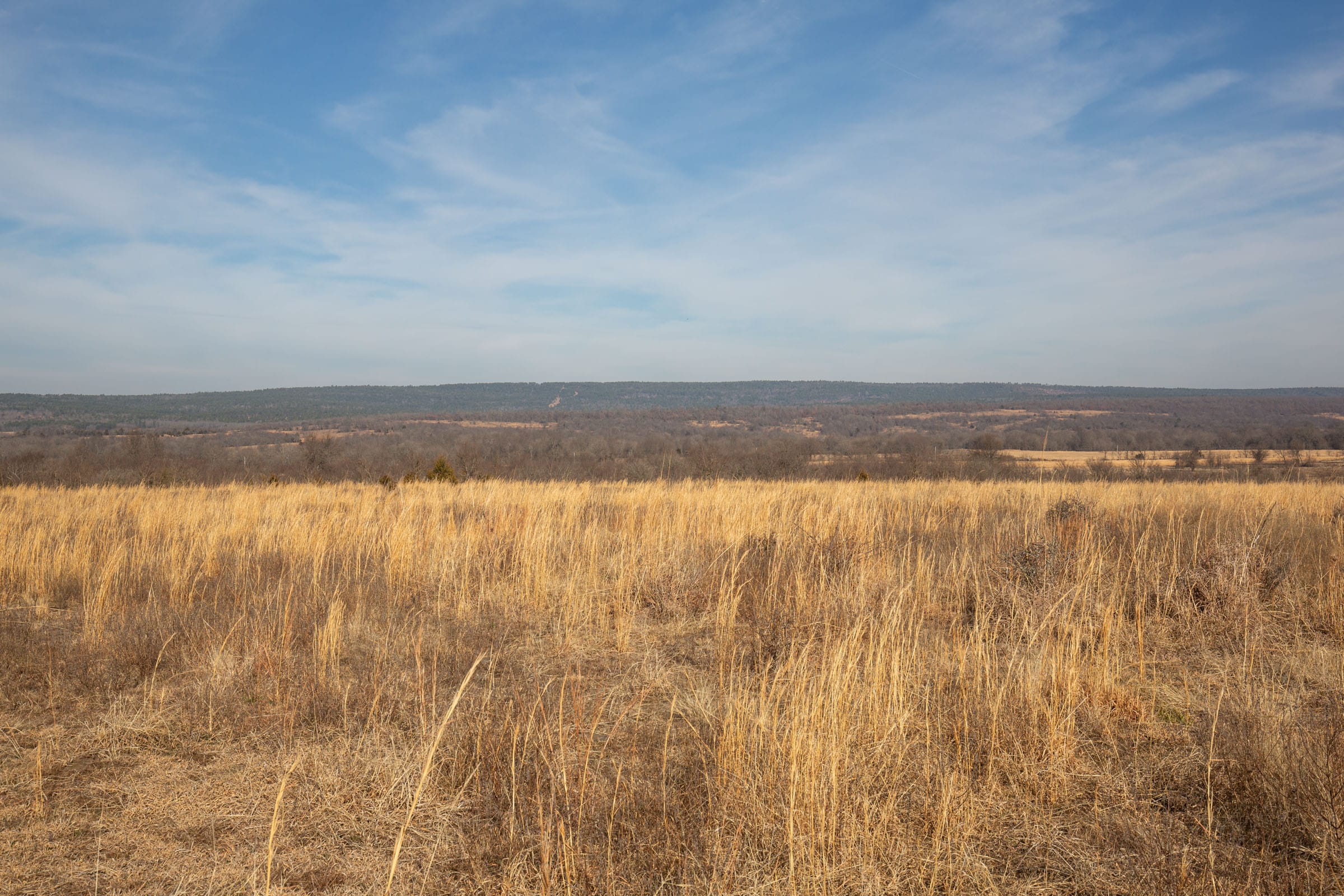 Painted Horse Tract 17 photo 7