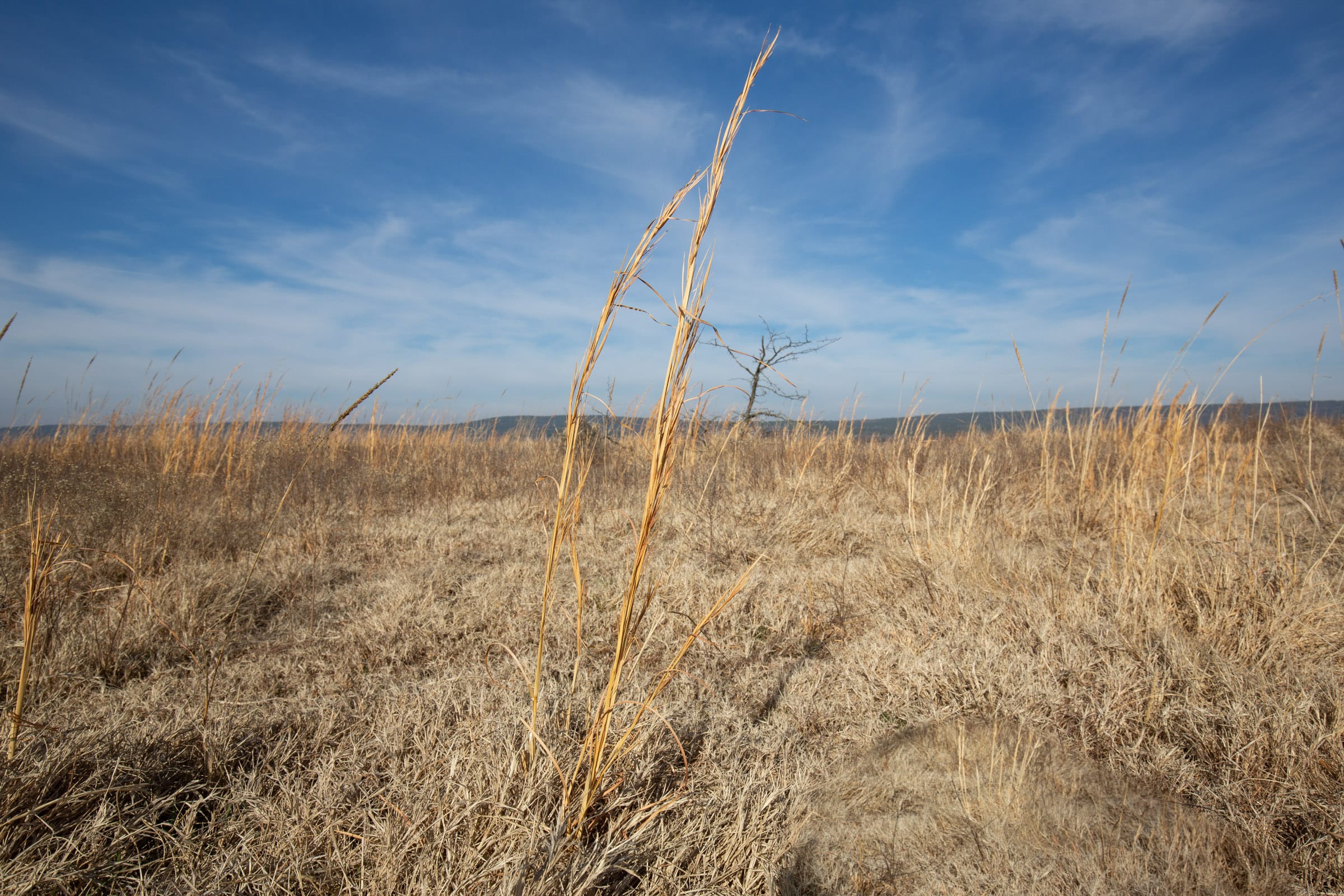 Painted Horse Tract 17 photo 6