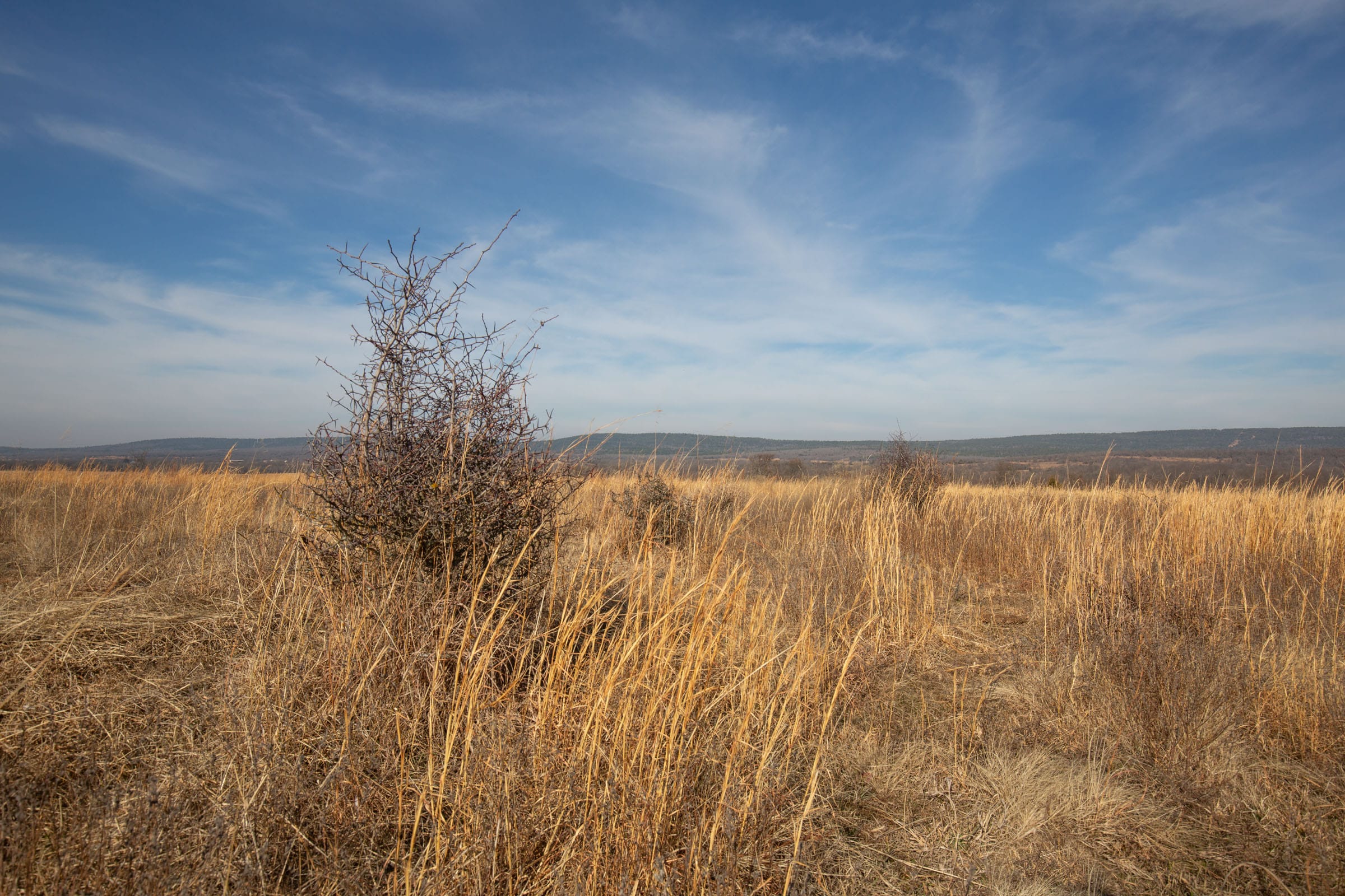 Painted Horse Tract 17 photo 10