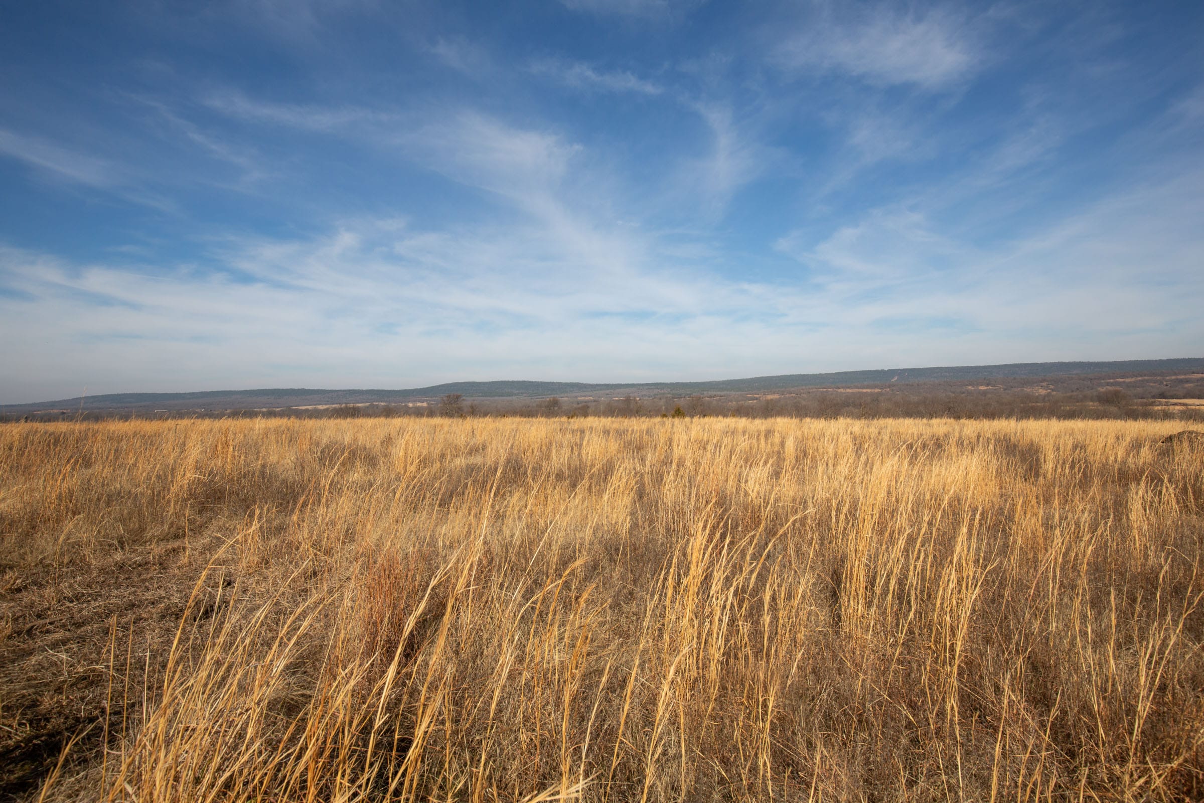 Painted Horse Tract 17 photo 9