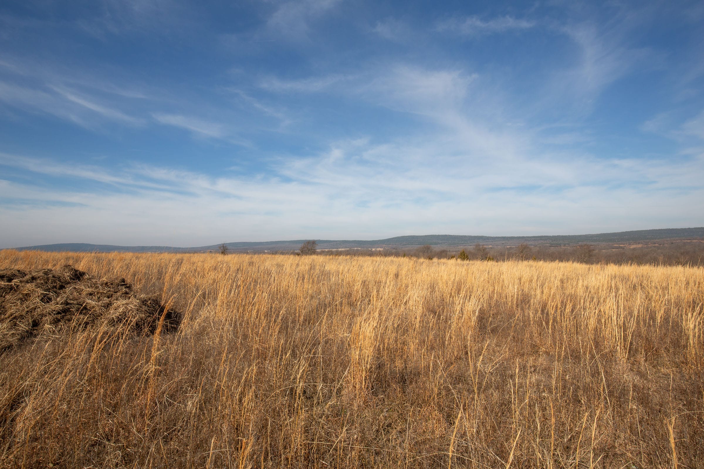 Painted Horse Tract 17 photo 11