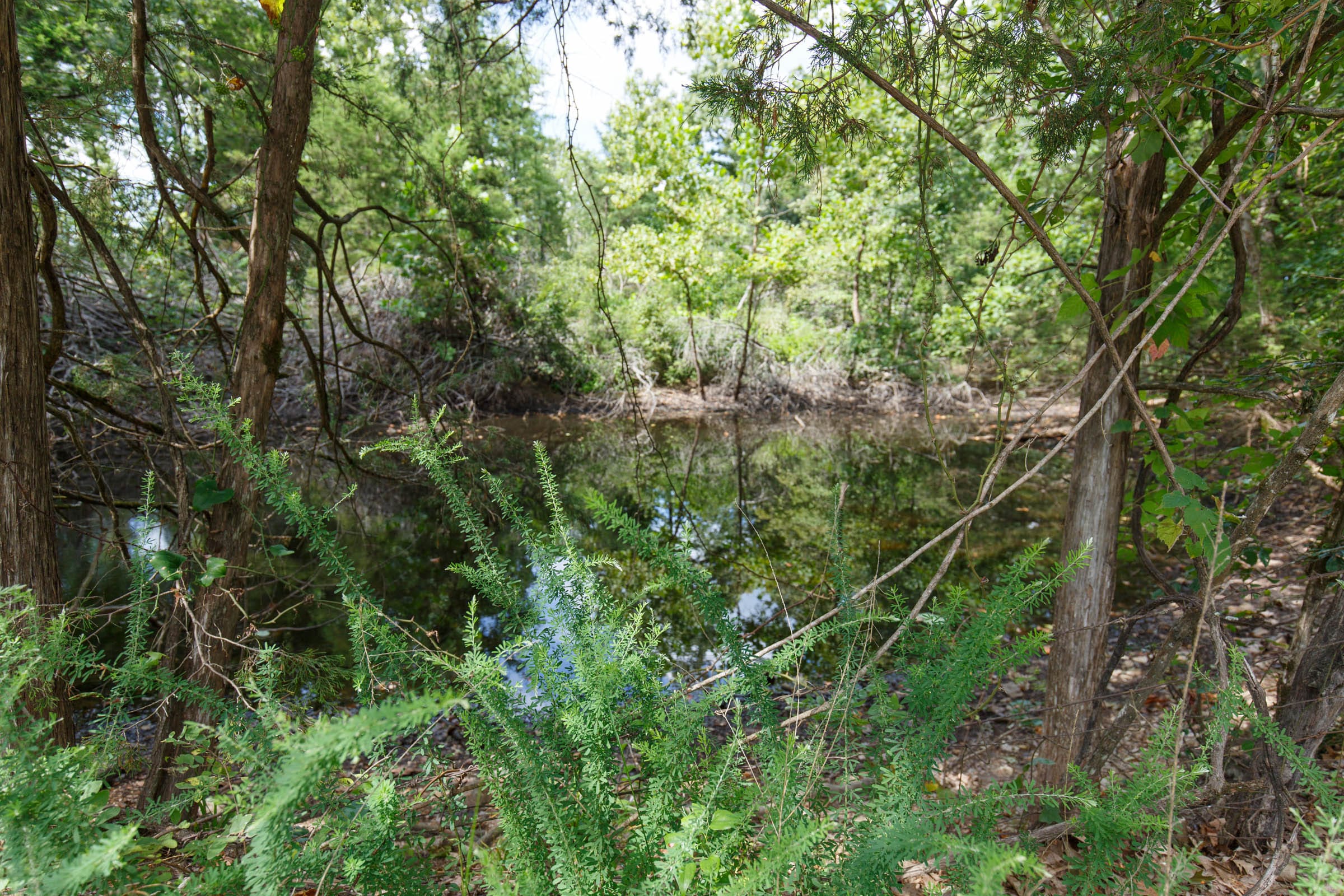 Wildwood Tract 1 photo 3