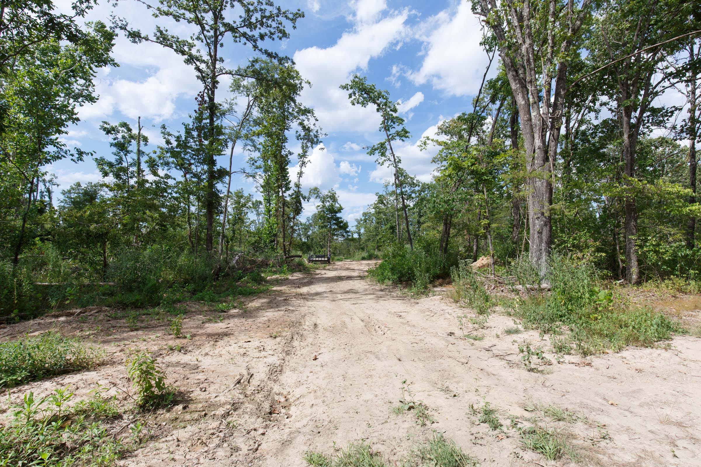 Wildwood Tract 1 photo 4