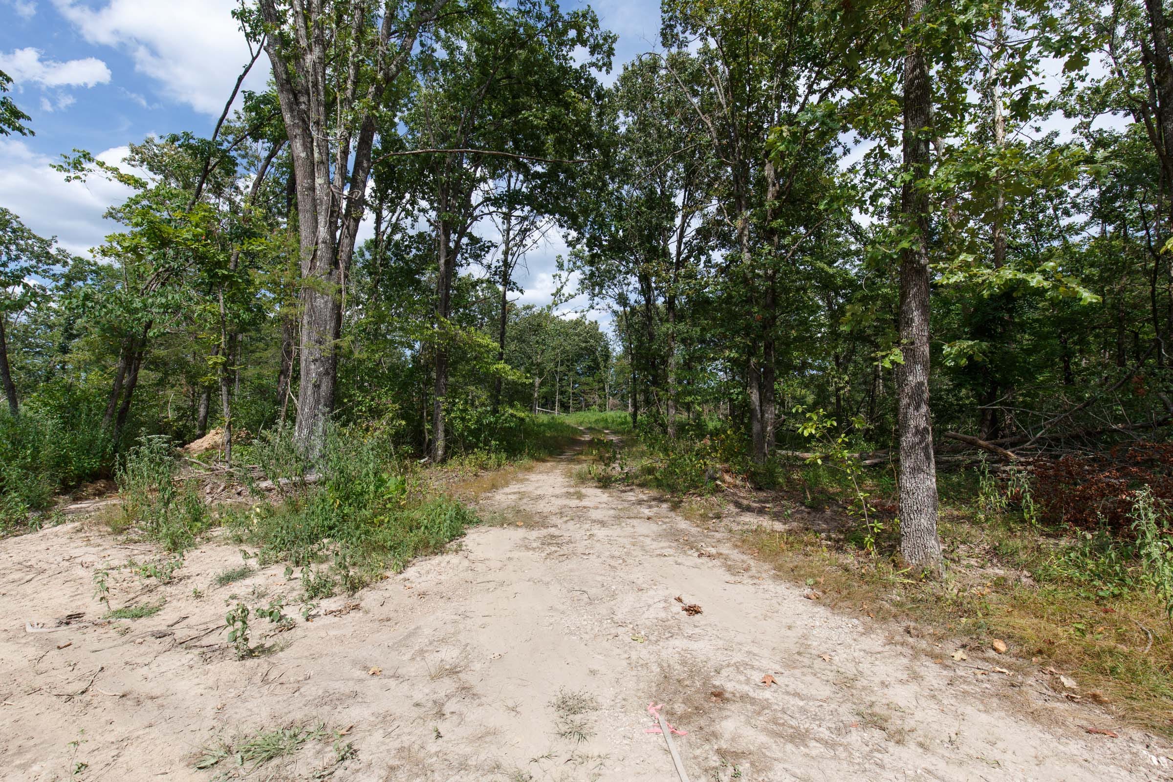 Wildwood Tract 1 photo 7