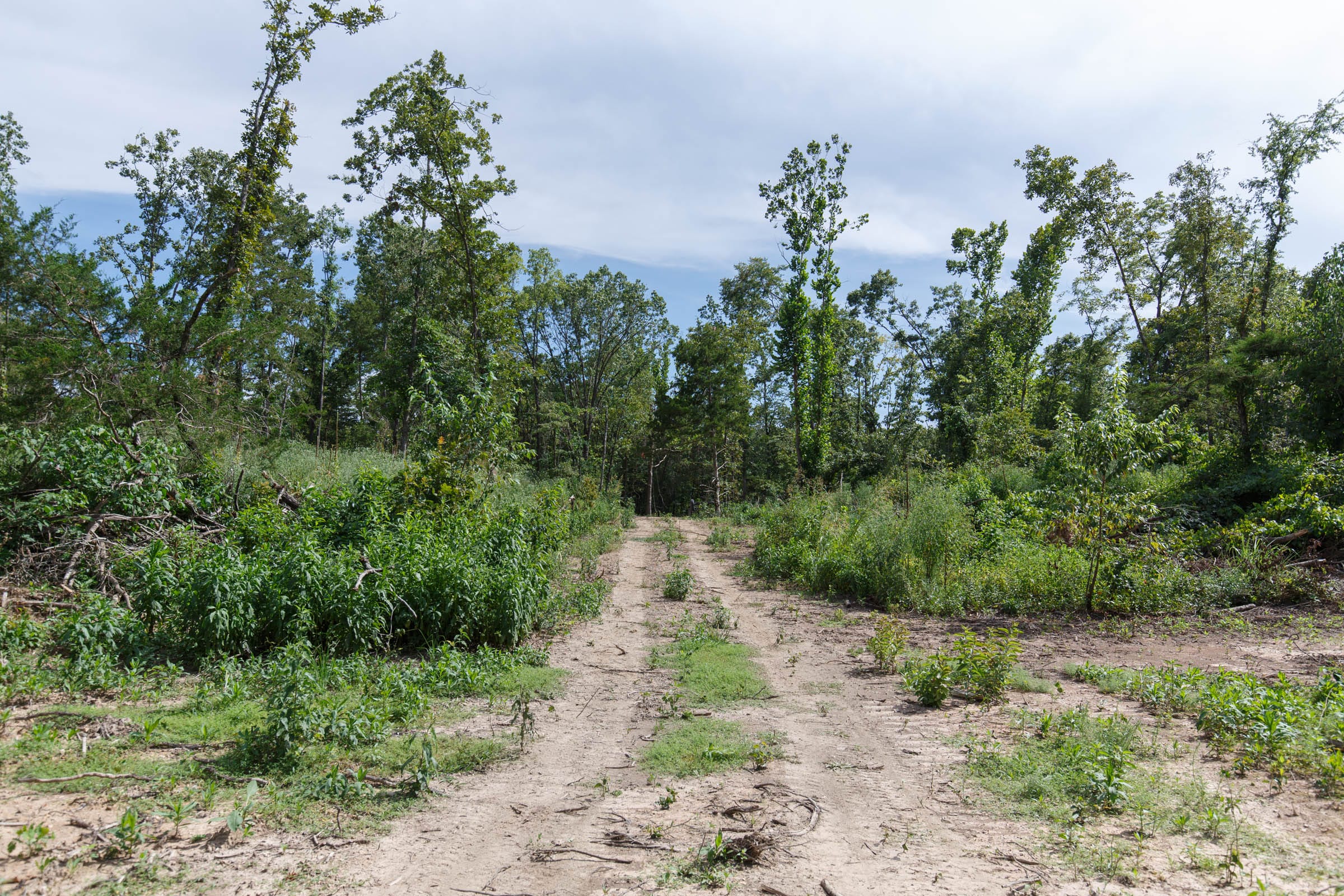 Wildwood Tract 1 photo 10
