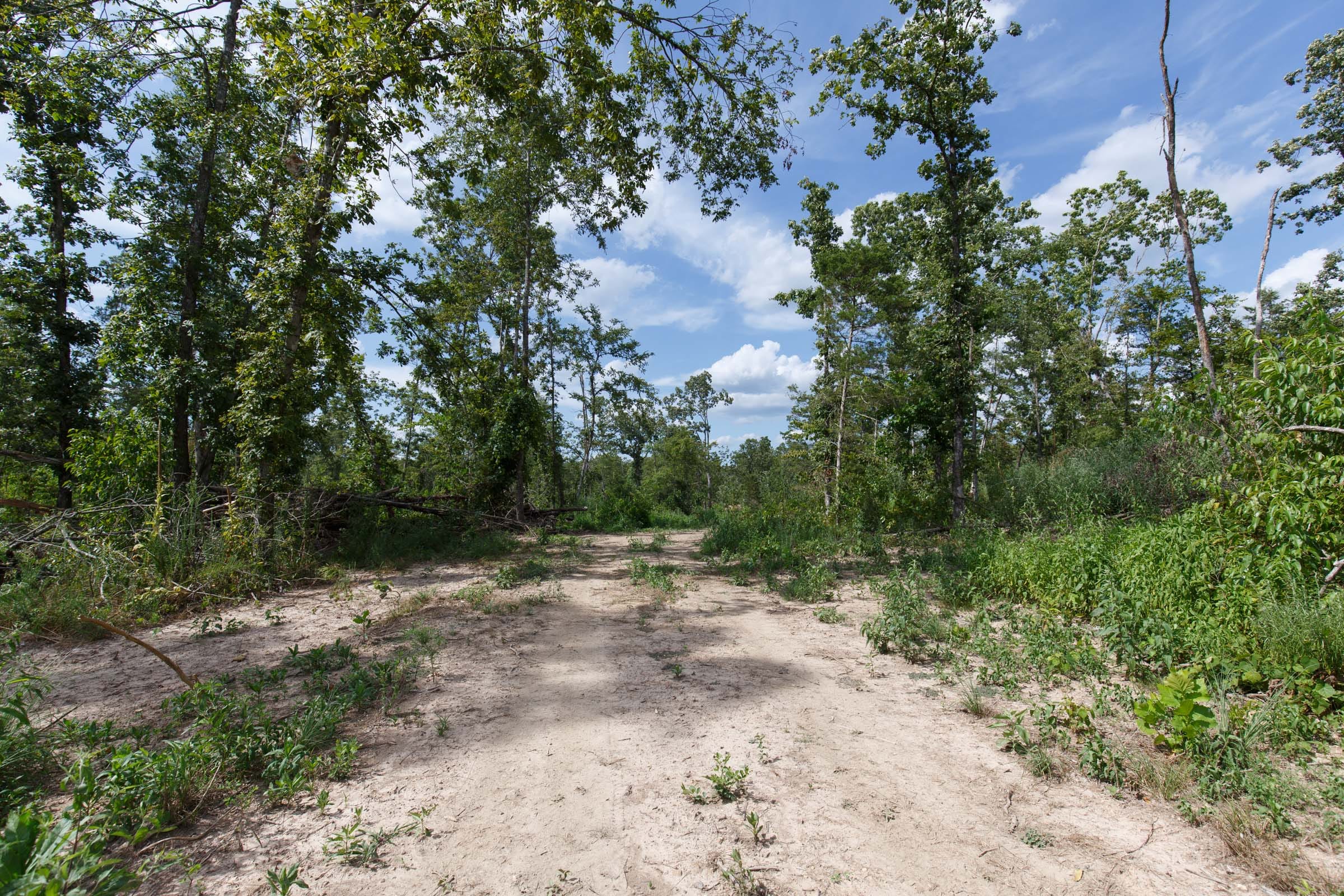 Wildwood Tract 1 photo 13