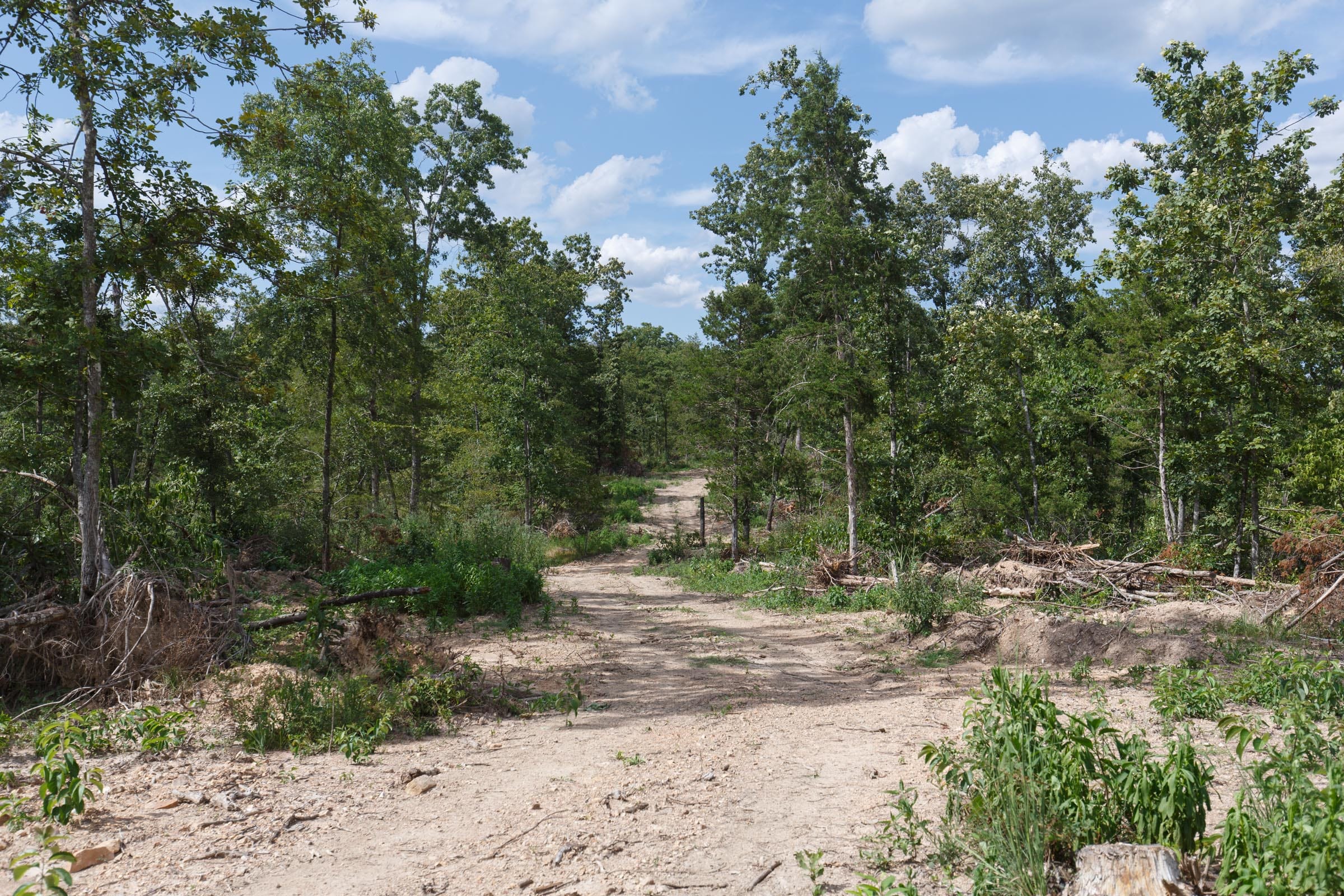 Wildwood Tract 1 photo 1
