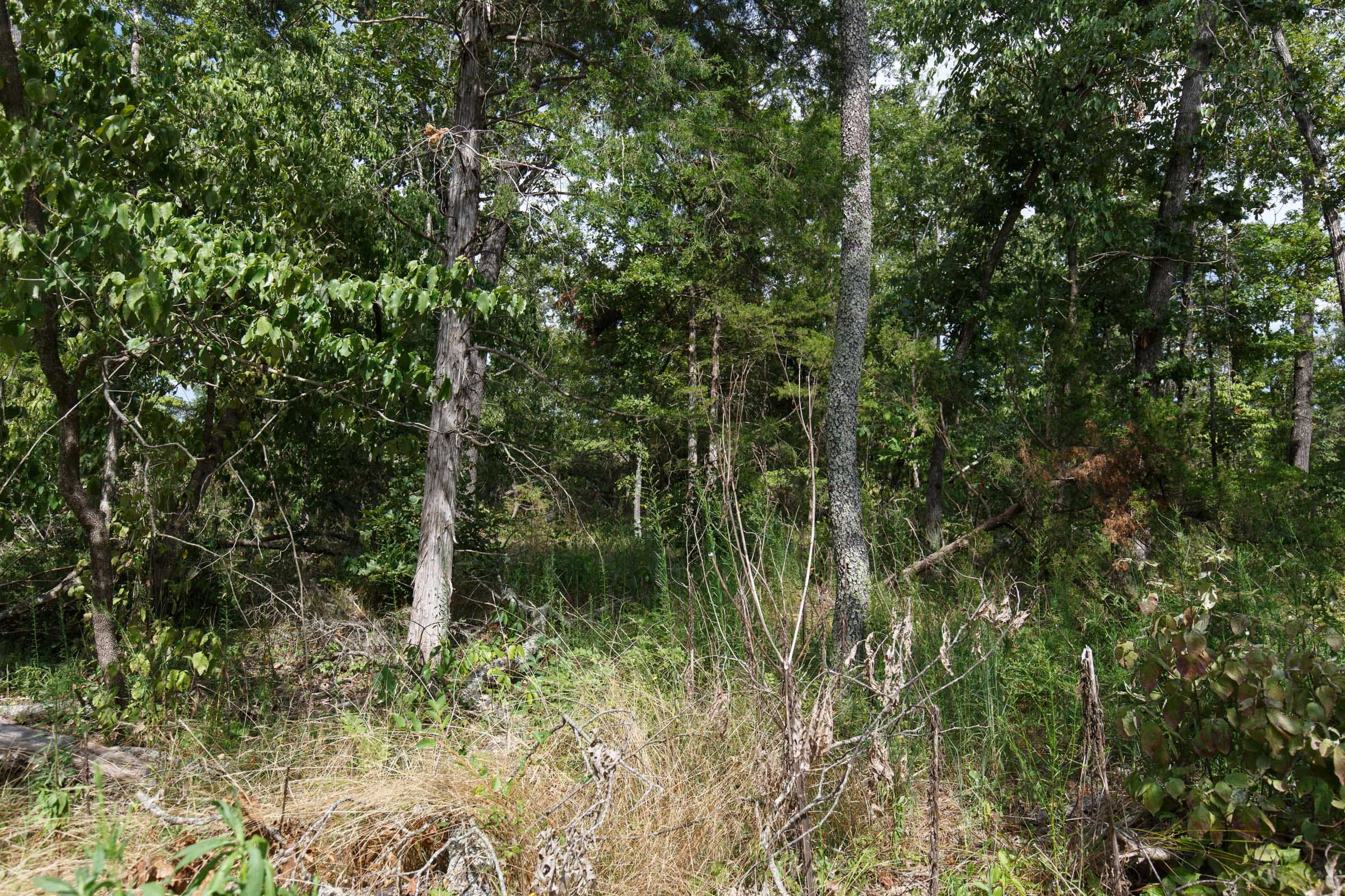 Wildwood Tract 1 photo 12