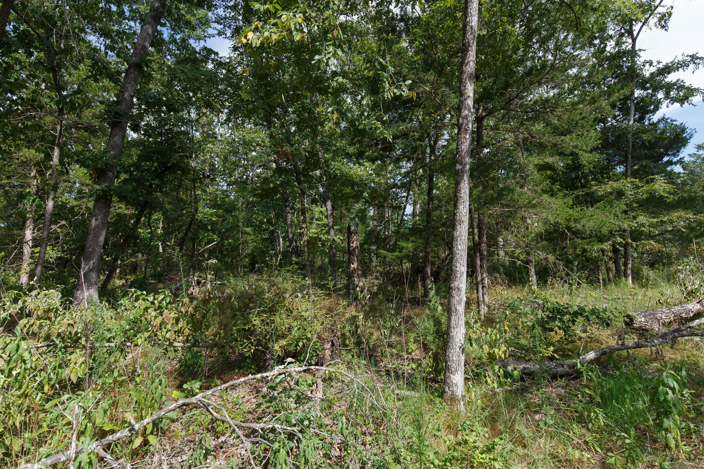 Wildwood Tract 1 photo 14