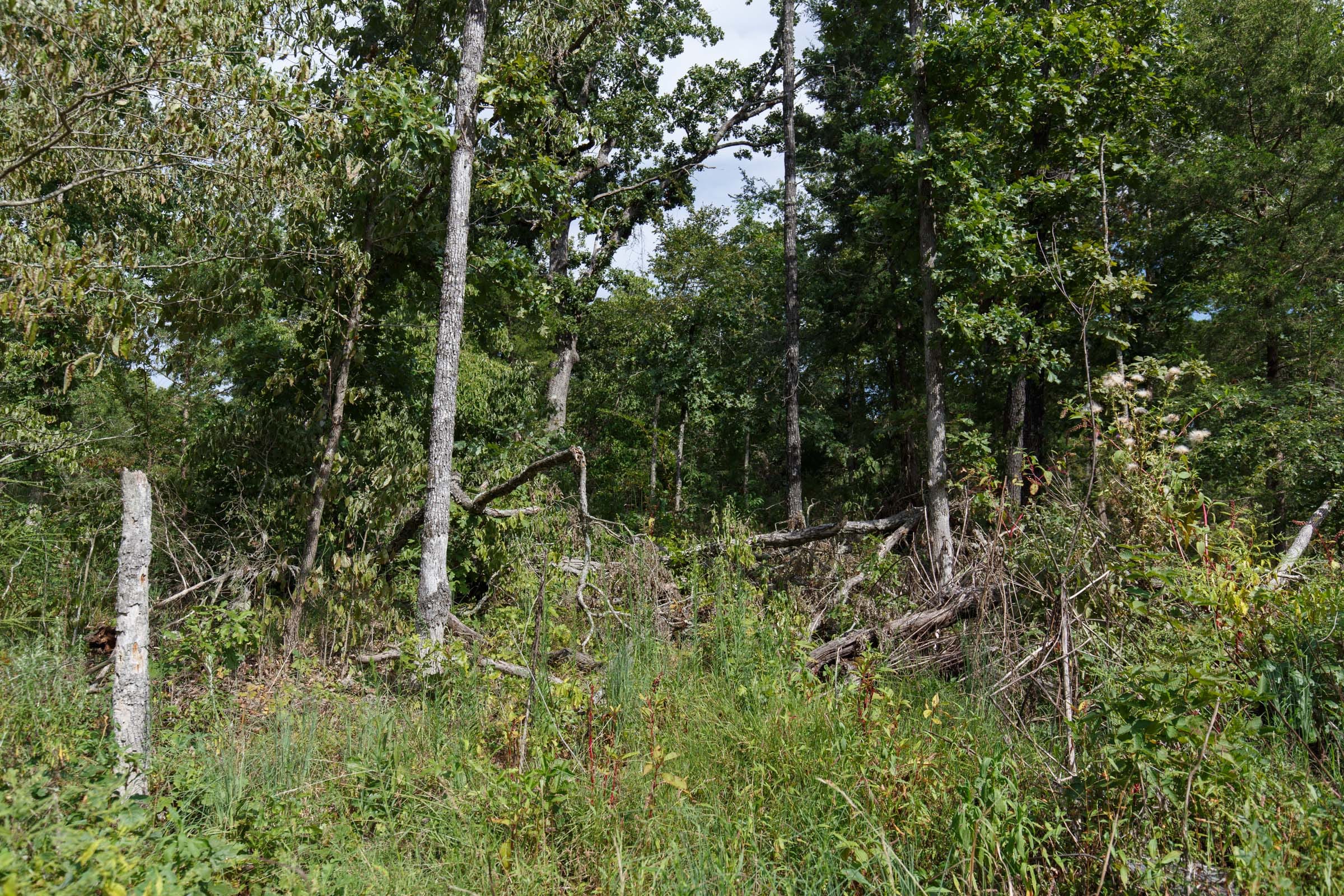 Wildwood Tract 1 photo 17