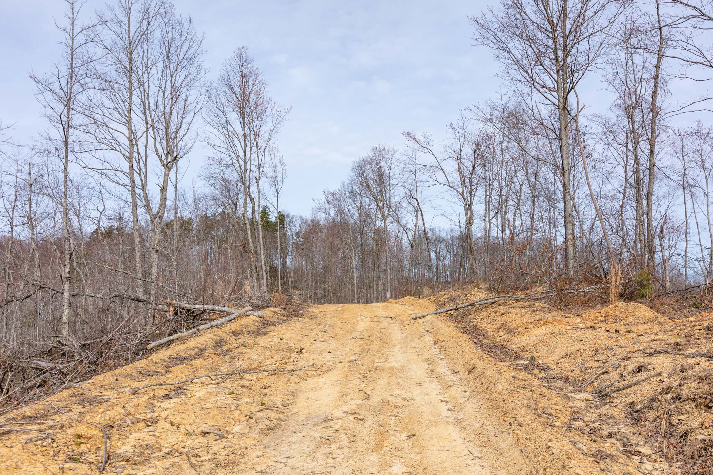 Creek Hollow Phase I Tract 25 photo 7
