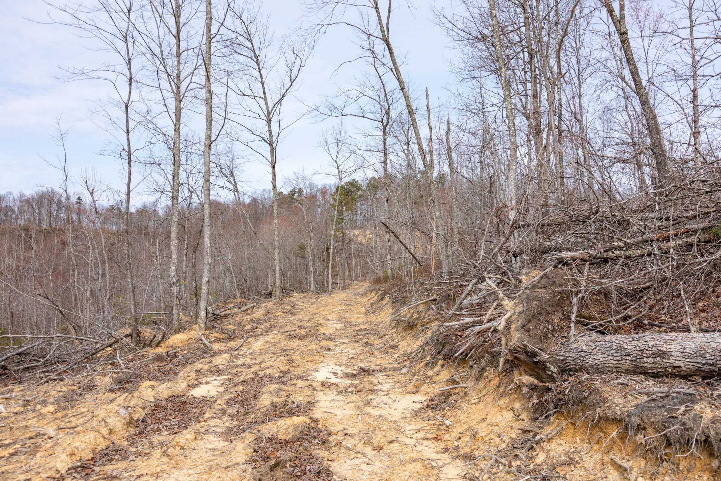 Creek Hollow Phase I Tract 25 photo 10