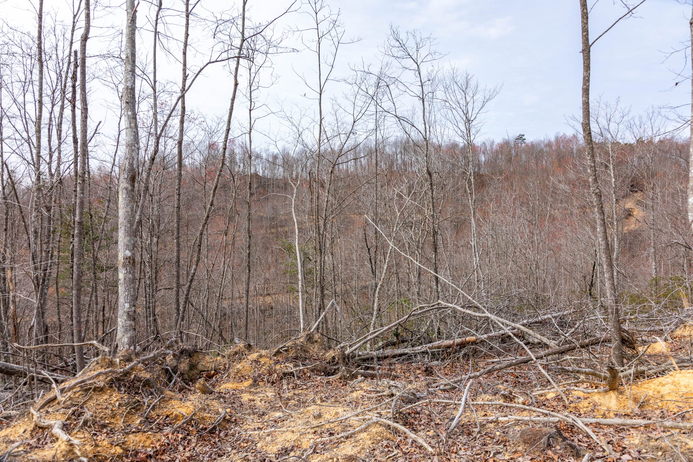 Creek Hollow Phase I Tract 25 photo 9