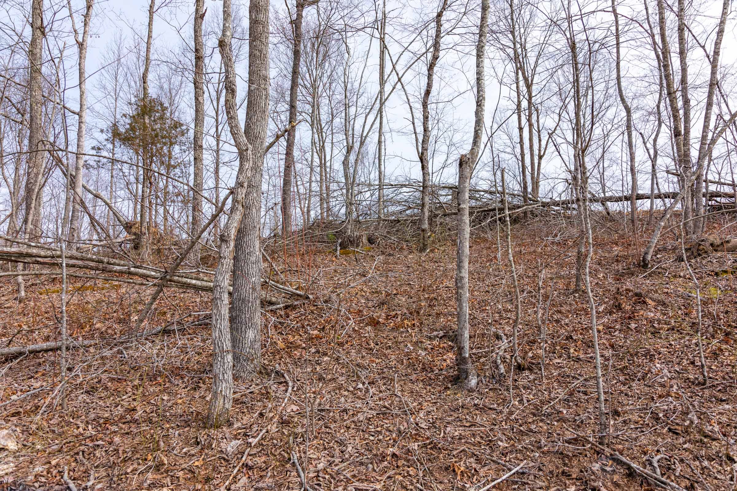 Creek Hollow Phase I Tract 25 photo 12