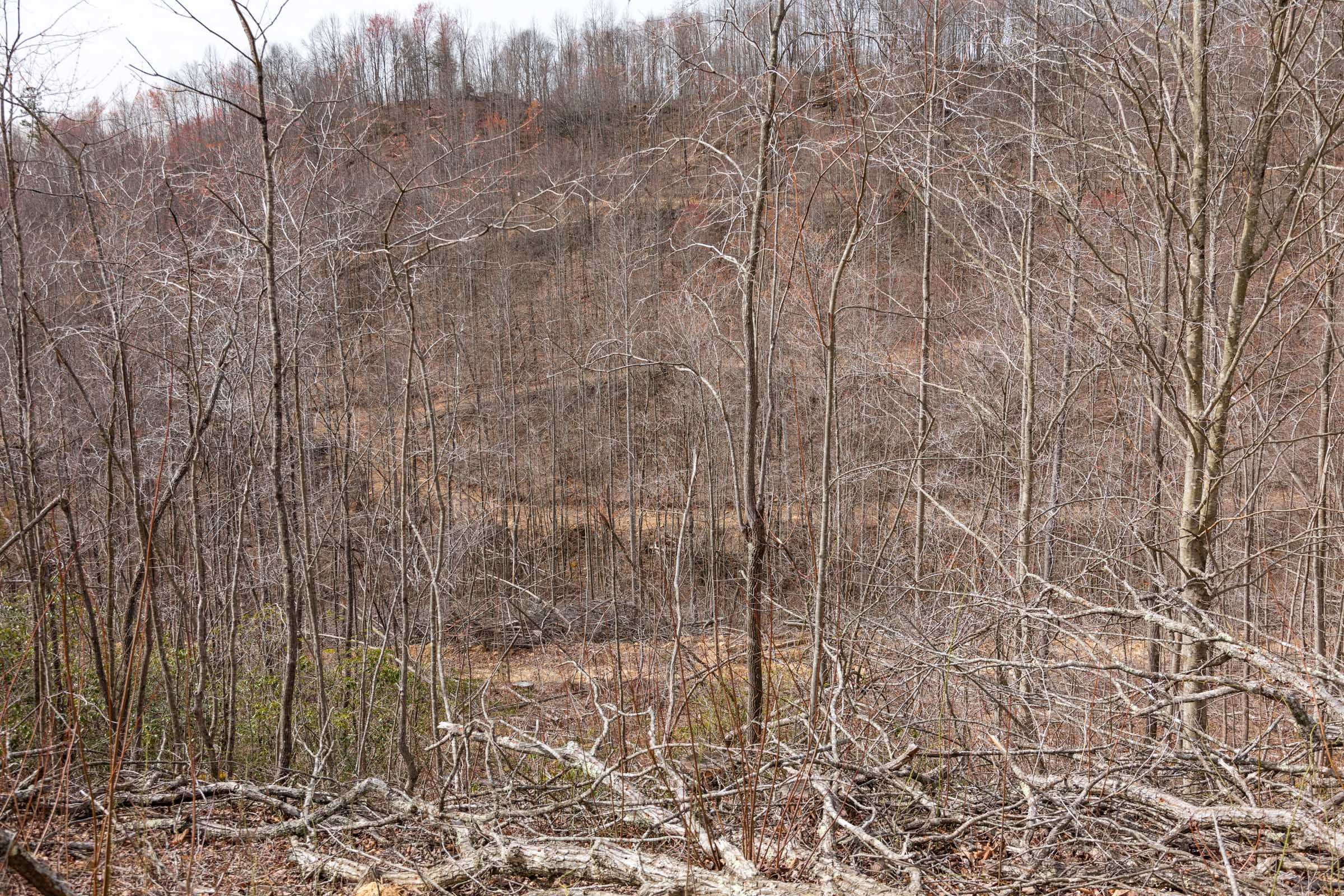 Creek Hollow Phase I Tract 25 photo 14