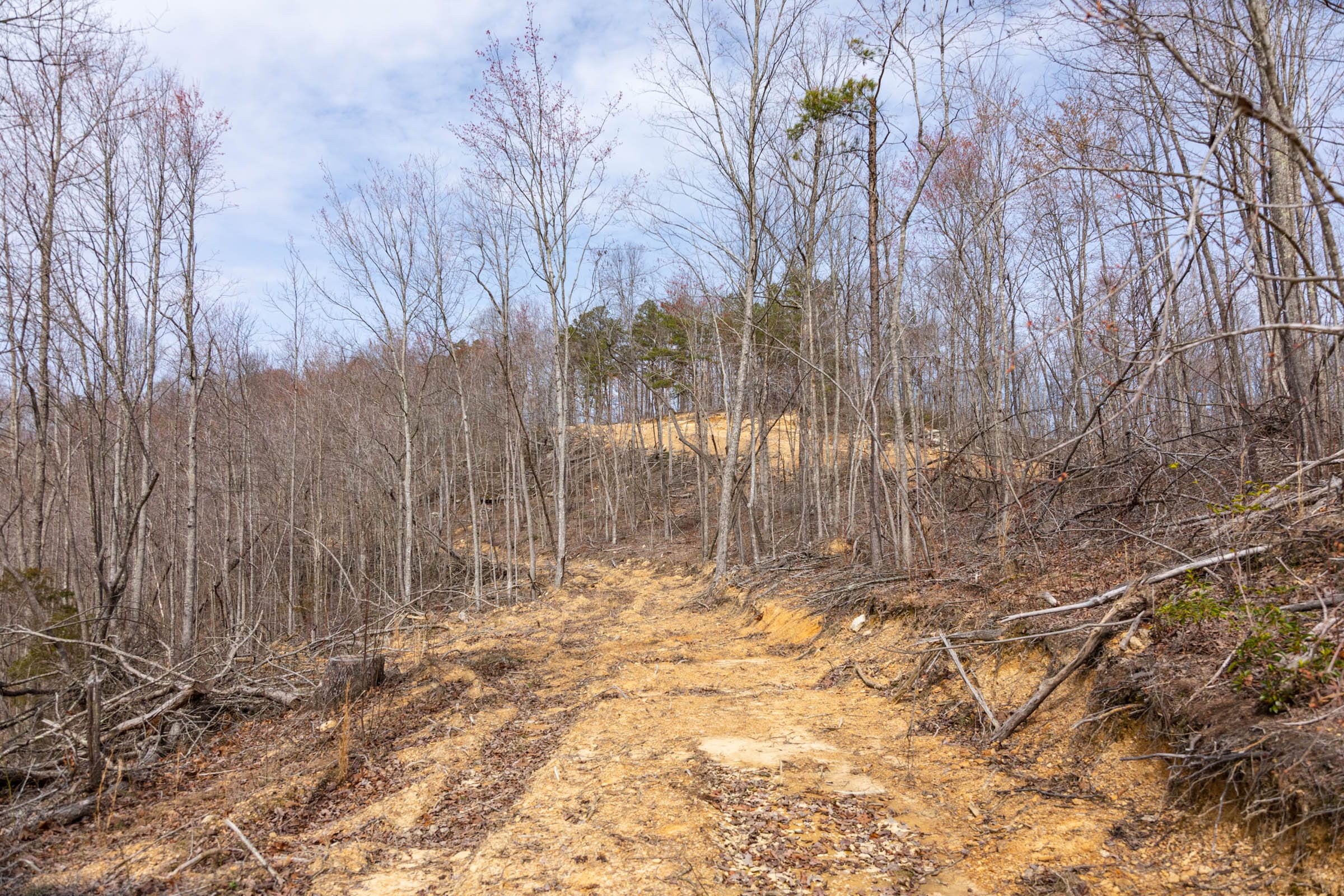 Creek Hollow Phase I Tract 25 photo 15