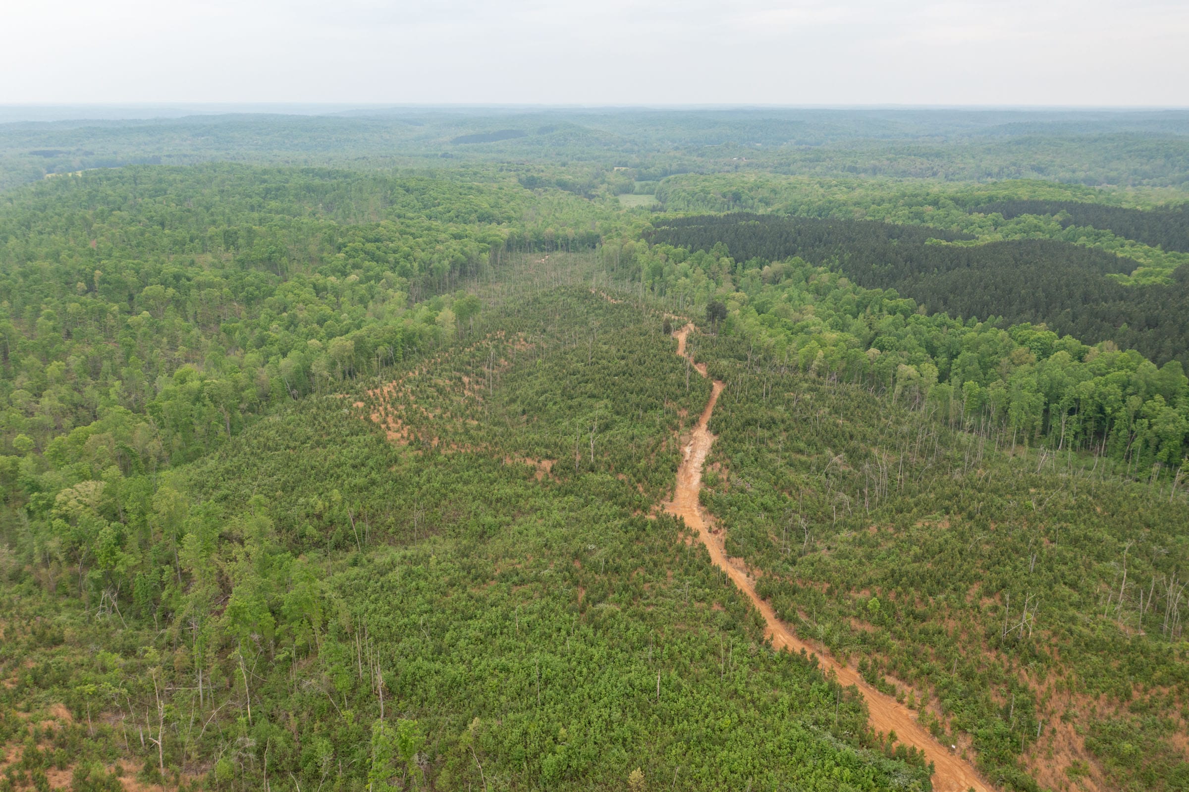 Red Barn Ranch Tract 47 photo 9