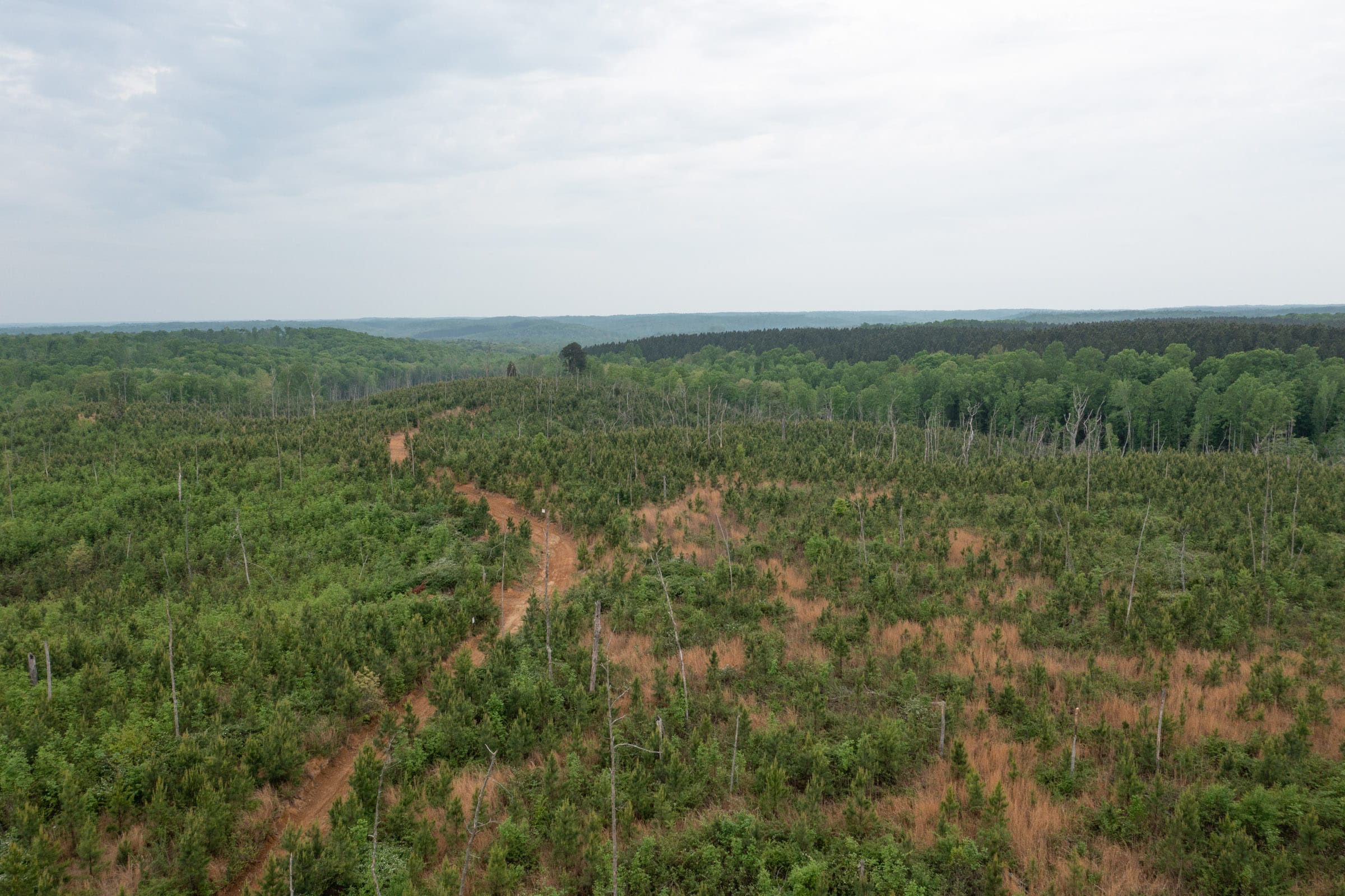 Red Barn Ranch Tract 47 photo 10