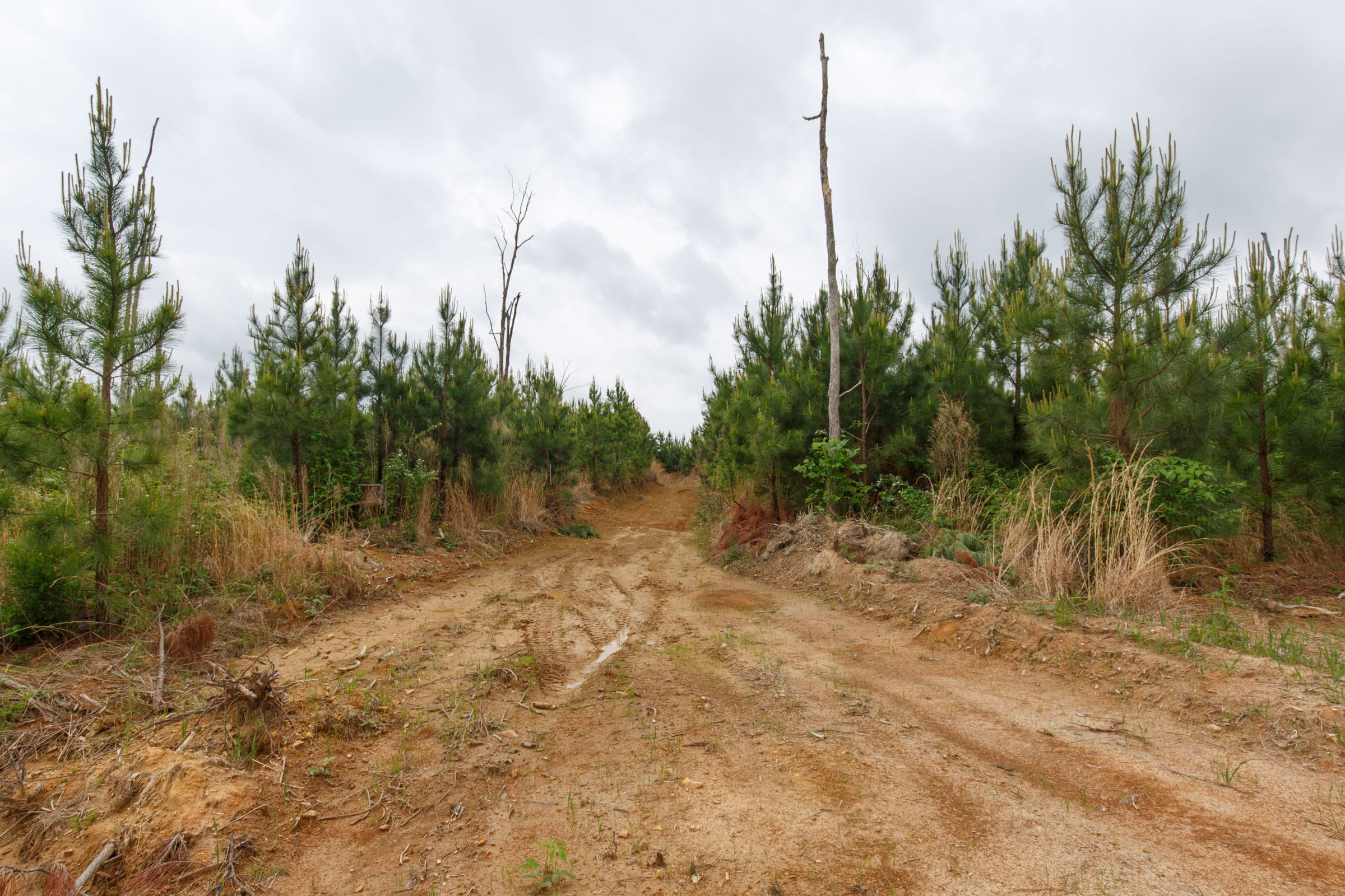 Red Barn Ranch Tract 47 photo 1