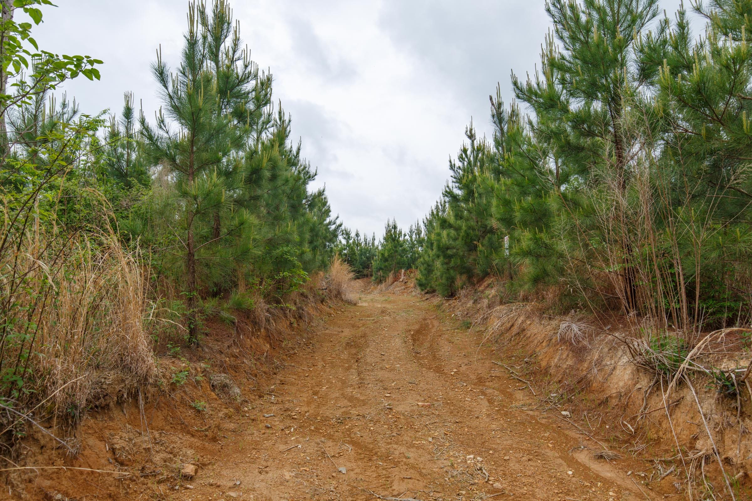 Red Barn Ranch Tract 47 photo 7