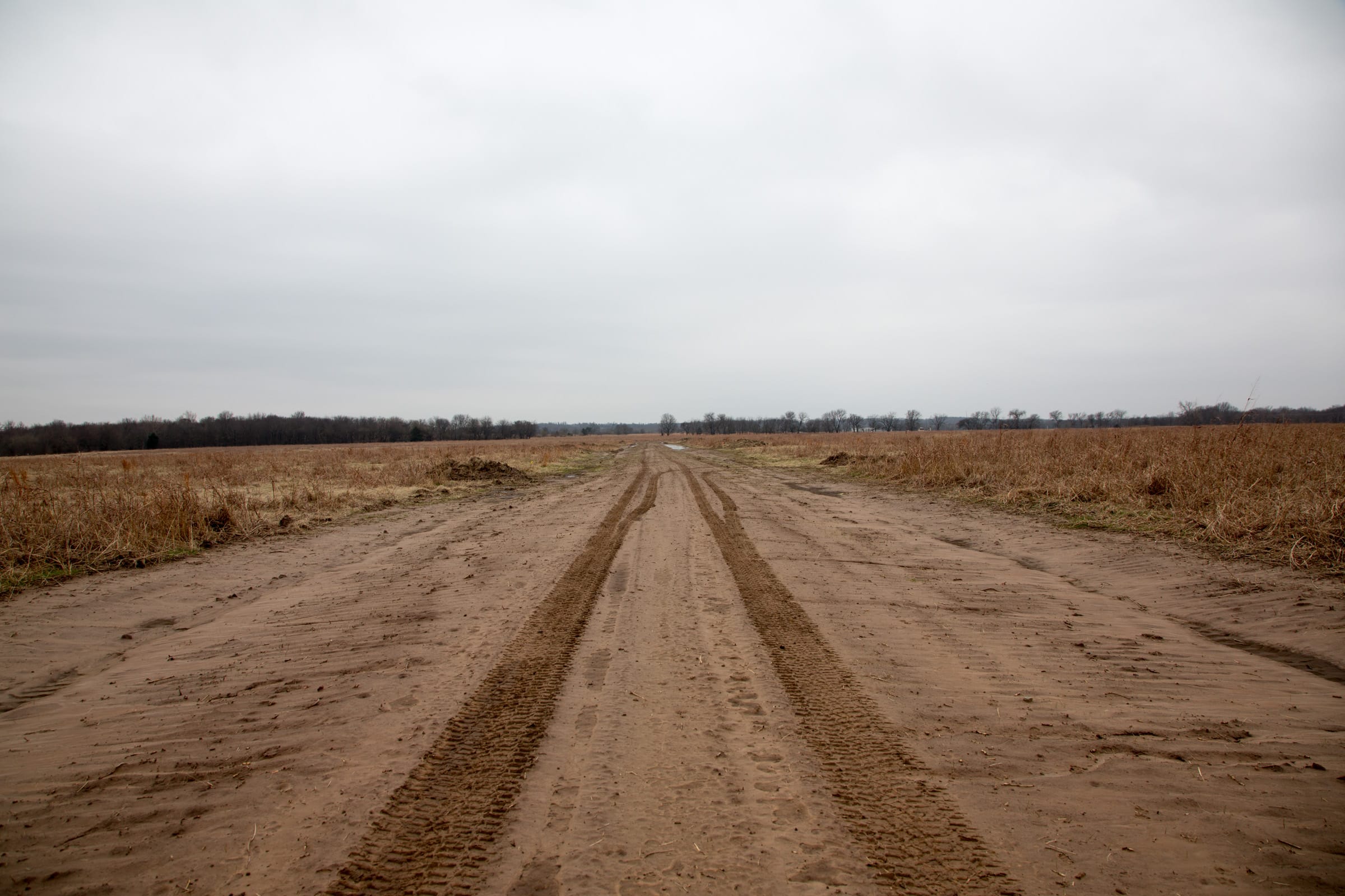 Canadian Plains Tract 42 photo 2