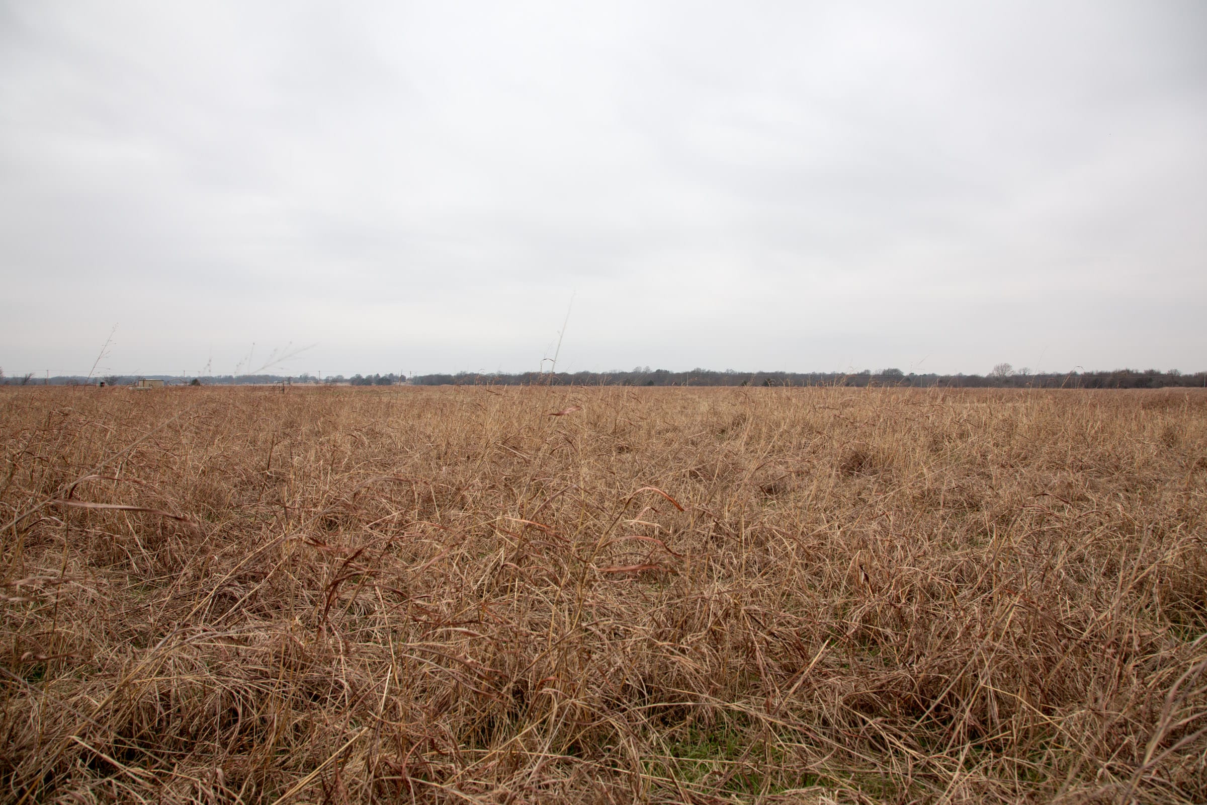 Canadian Plains Tract 42 photo 3