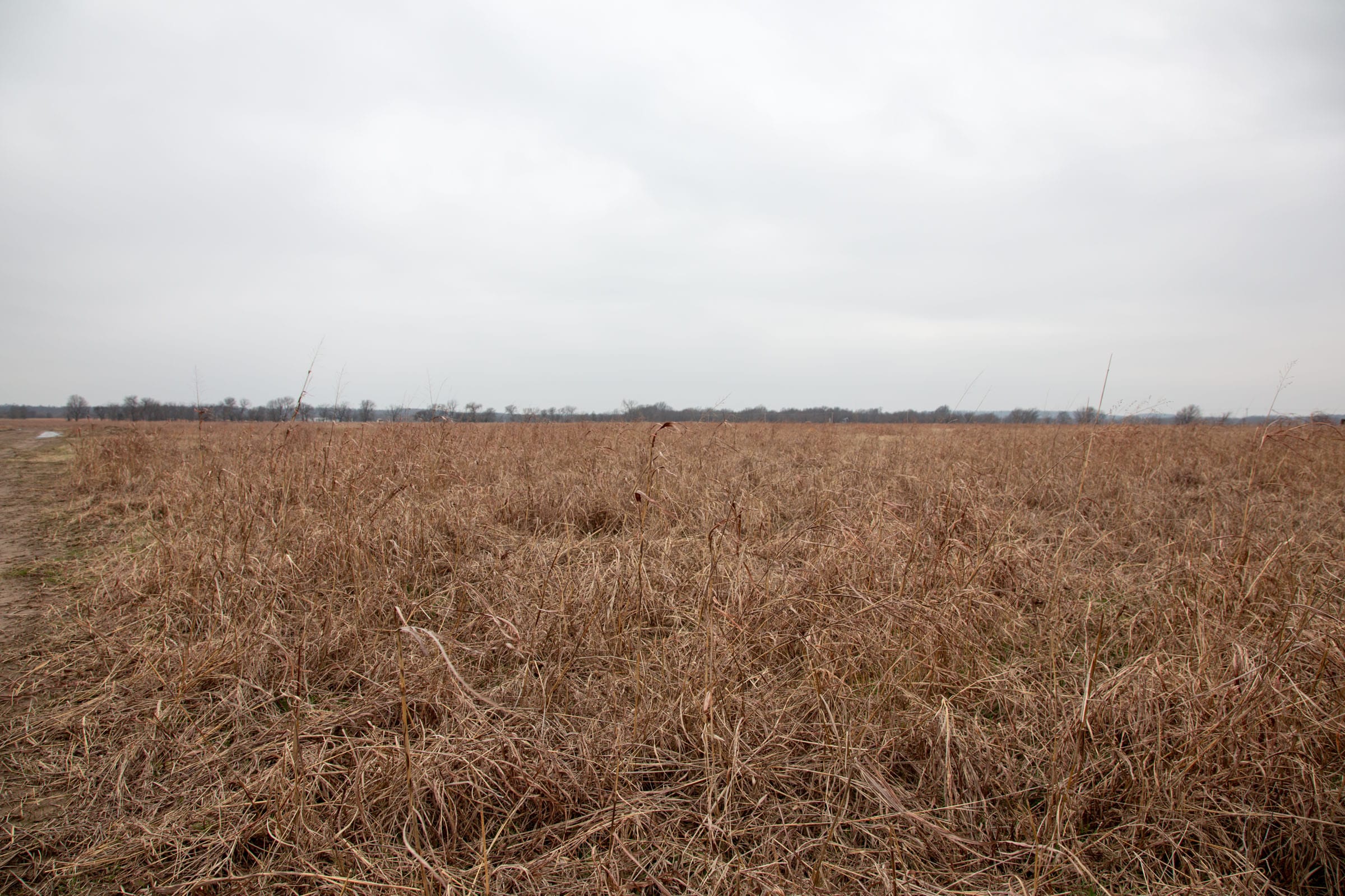 Canadian Plains Tract 42 photo 4
