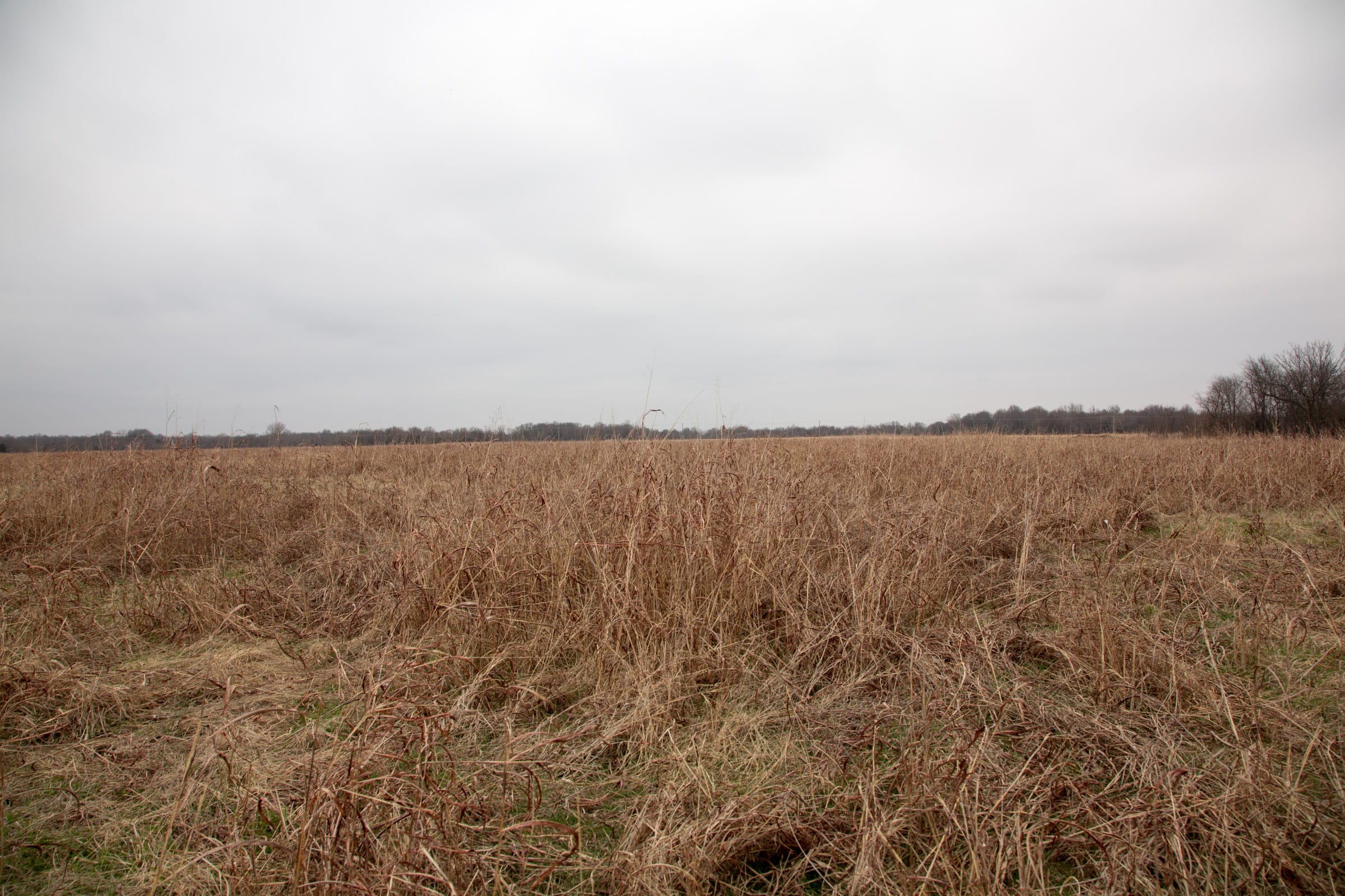 Canadian Plains Tract 42 photo 5