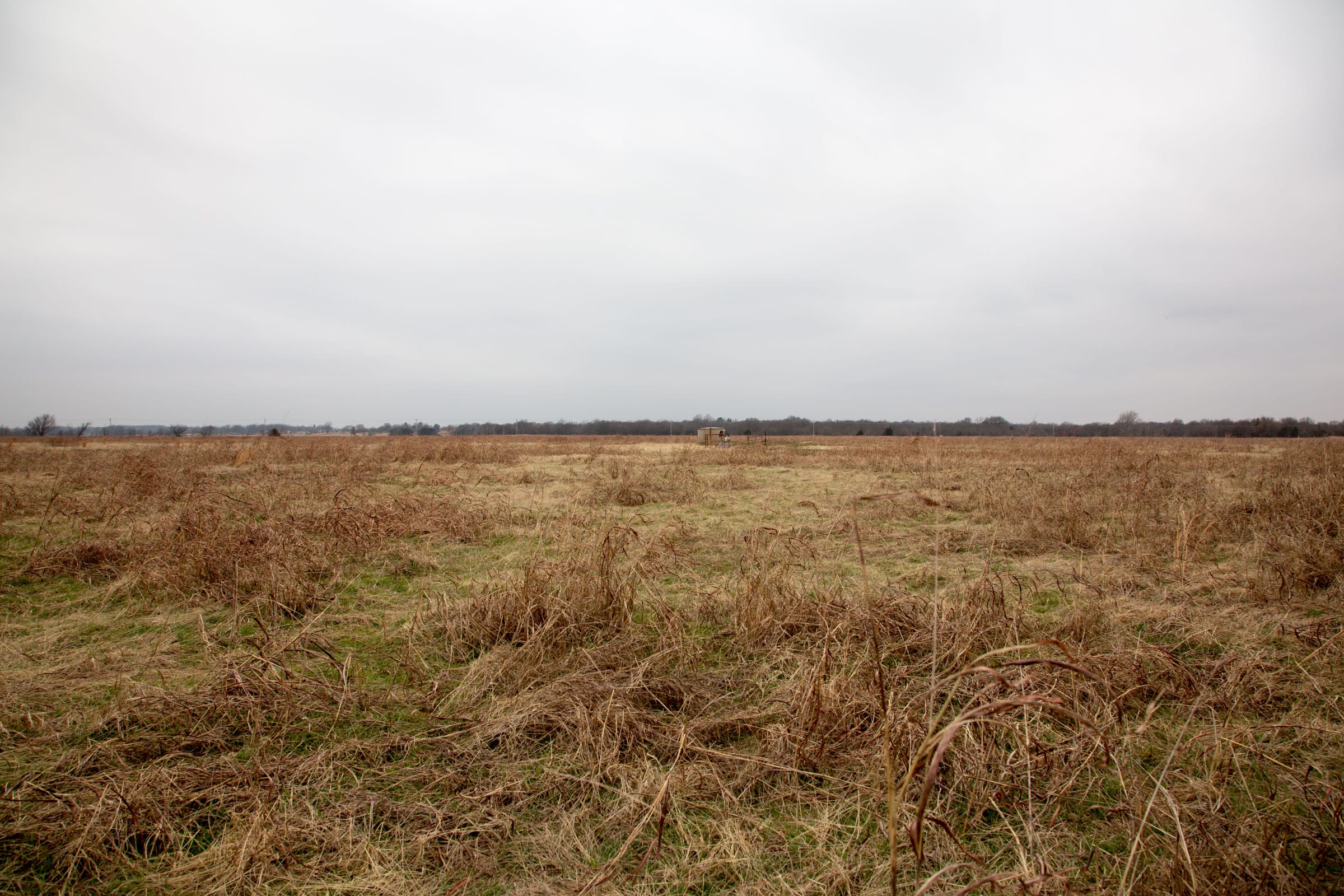 Canadian Plains Tract 42 photo 6