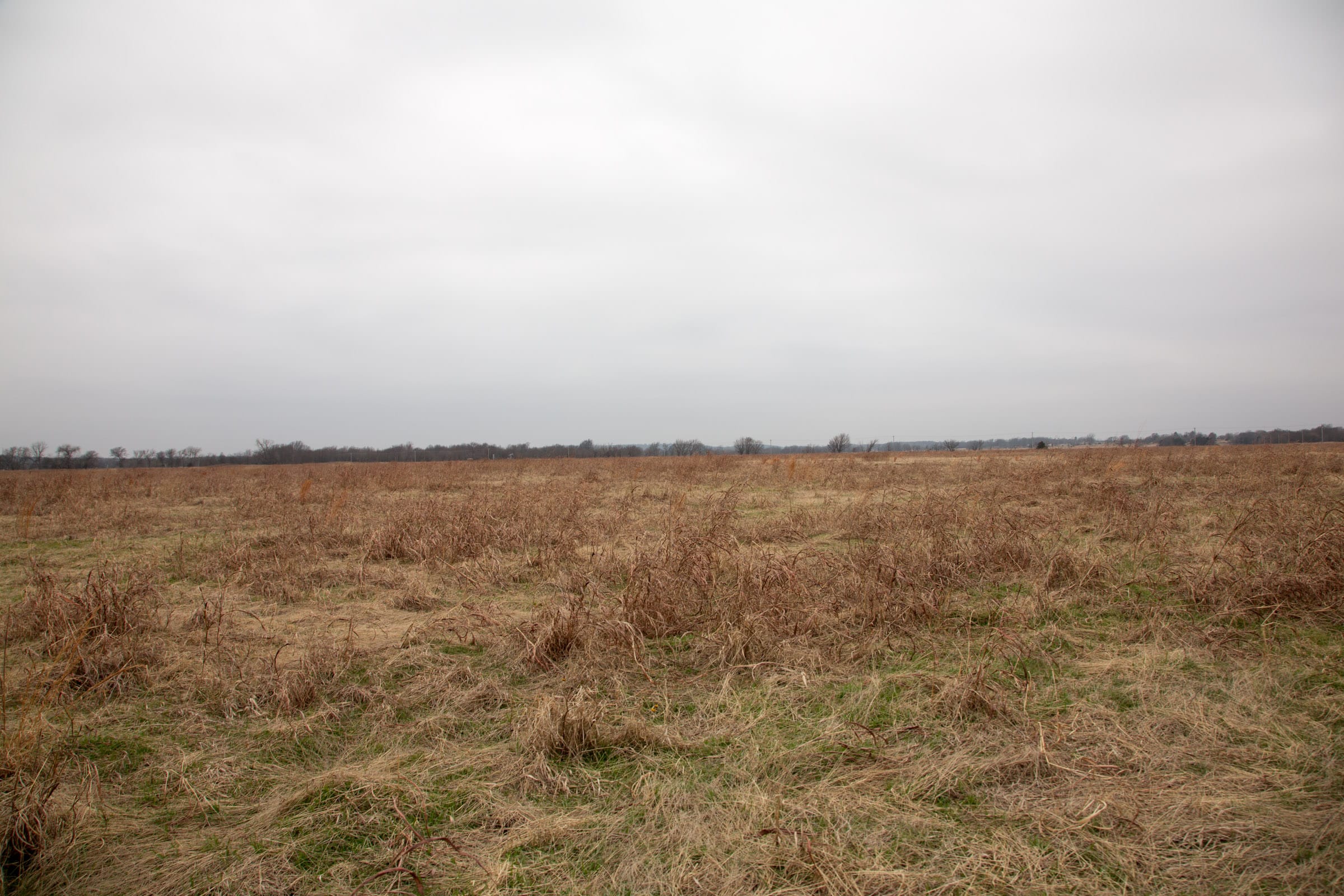 Canadian Plains Tract 42 photo 7