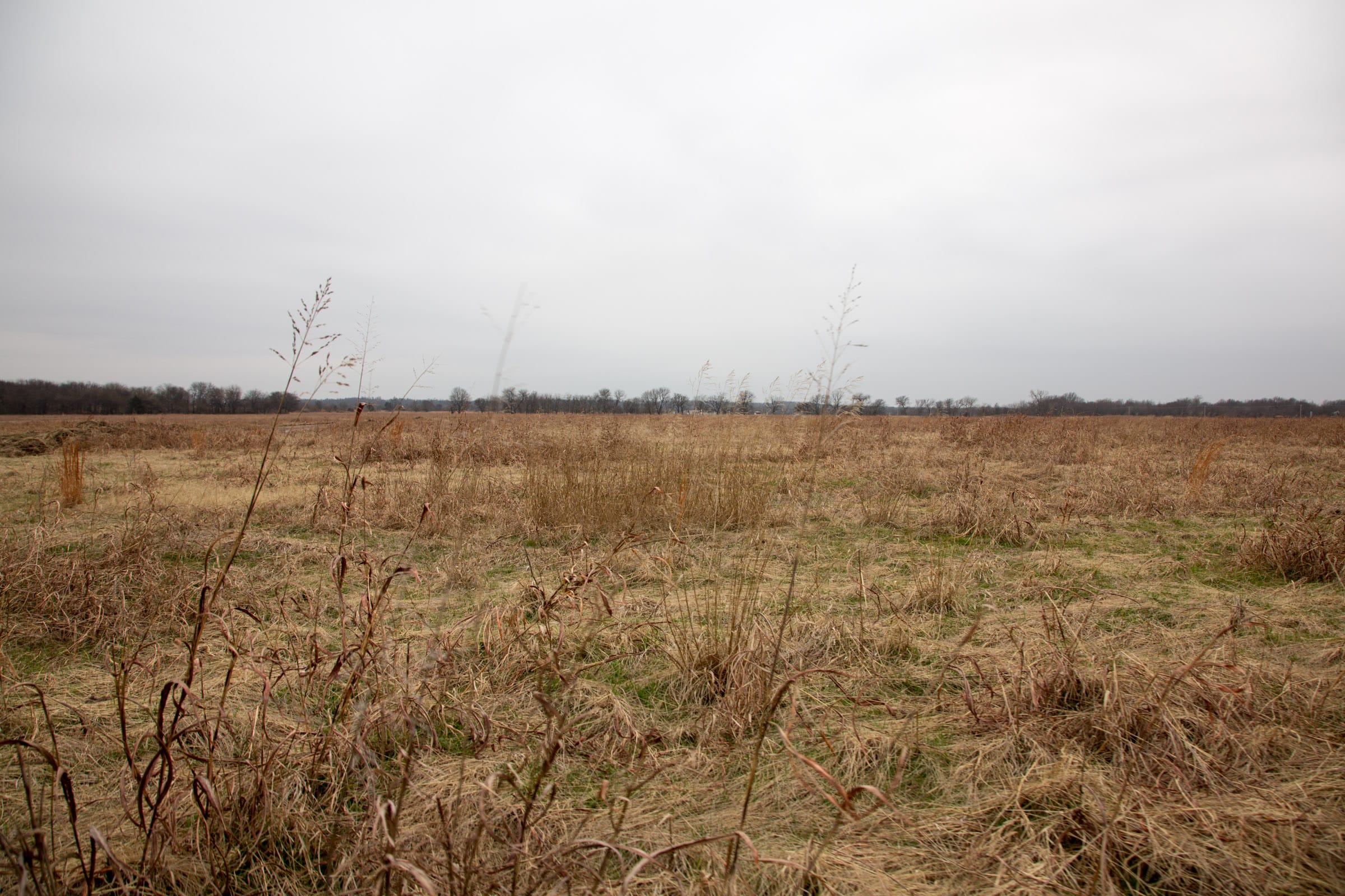 Canadian Plains Tract 42 photo 8