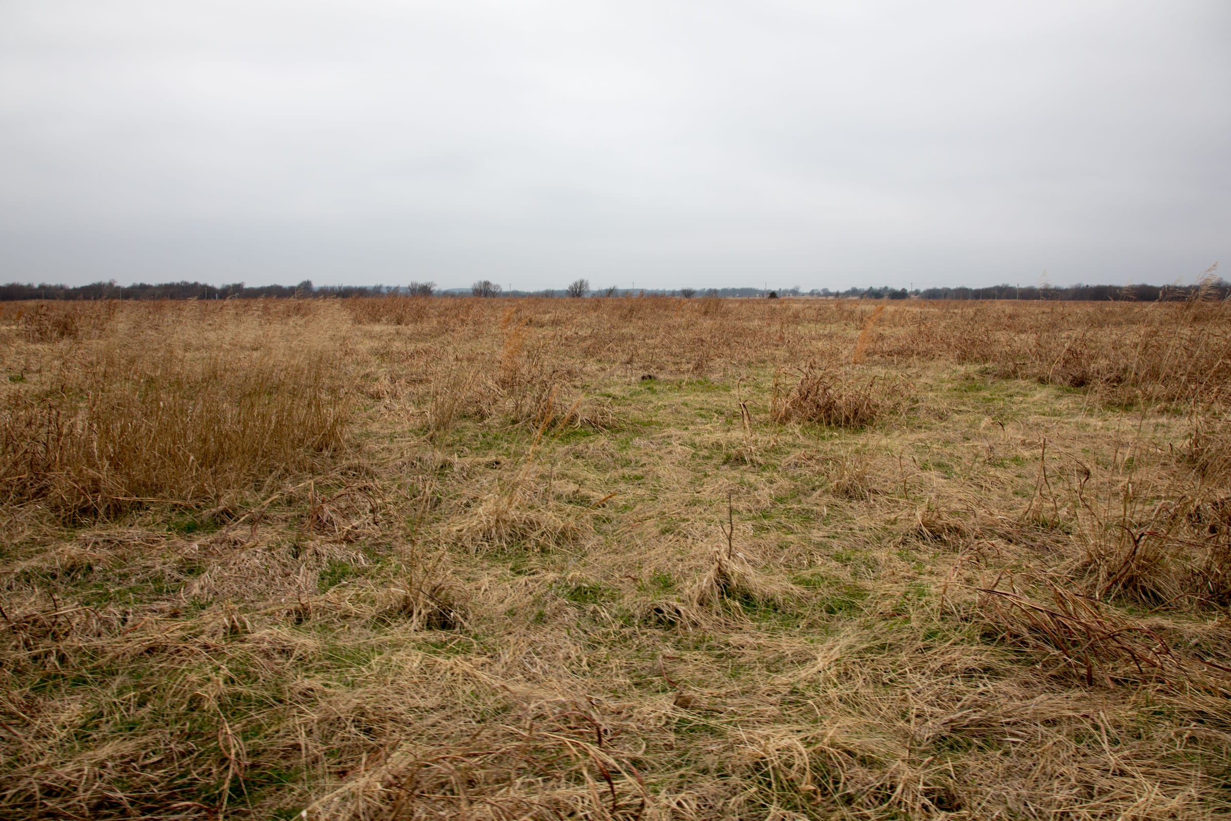 Canadian Plains Tract 42 photo 9