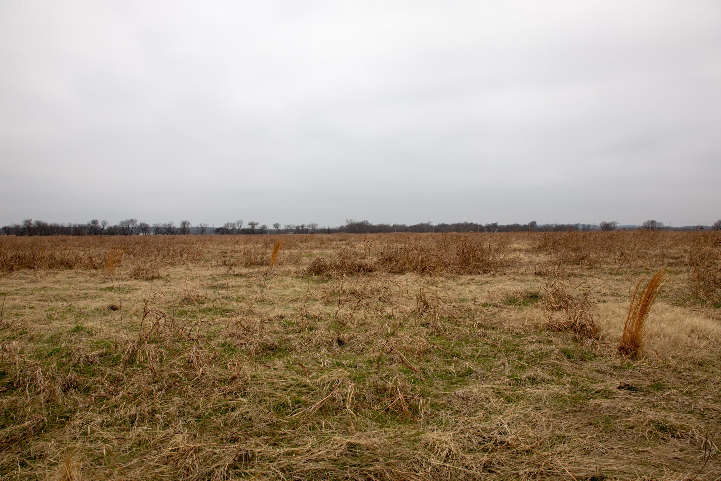 Canadian Plains Tract 42 photo 10