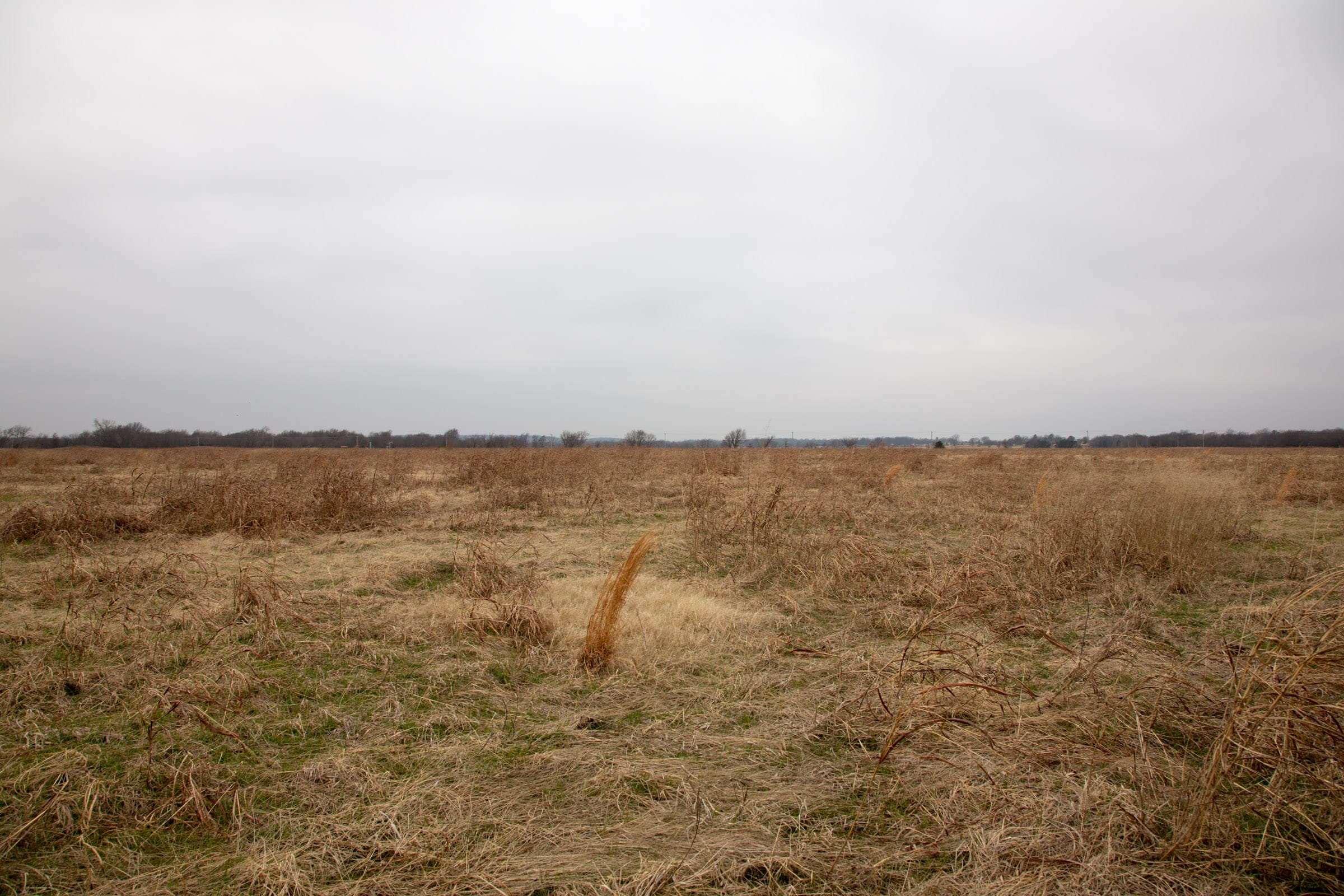 Canadian Plains Tract 42 photo 11