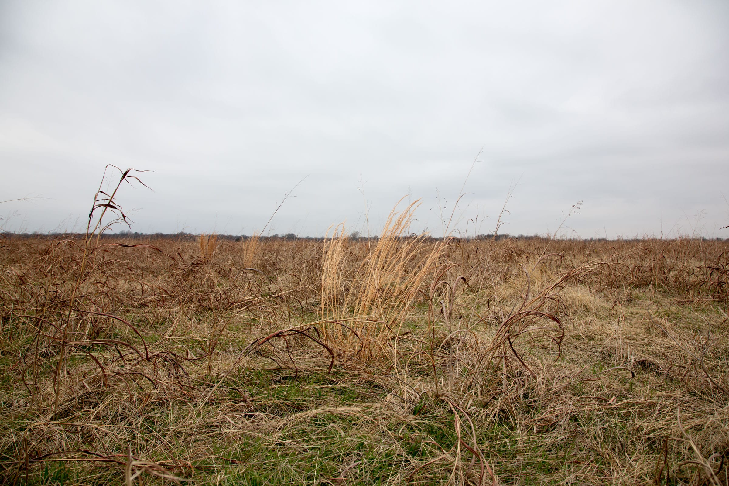Canadian Plains Tract 42 photo 13