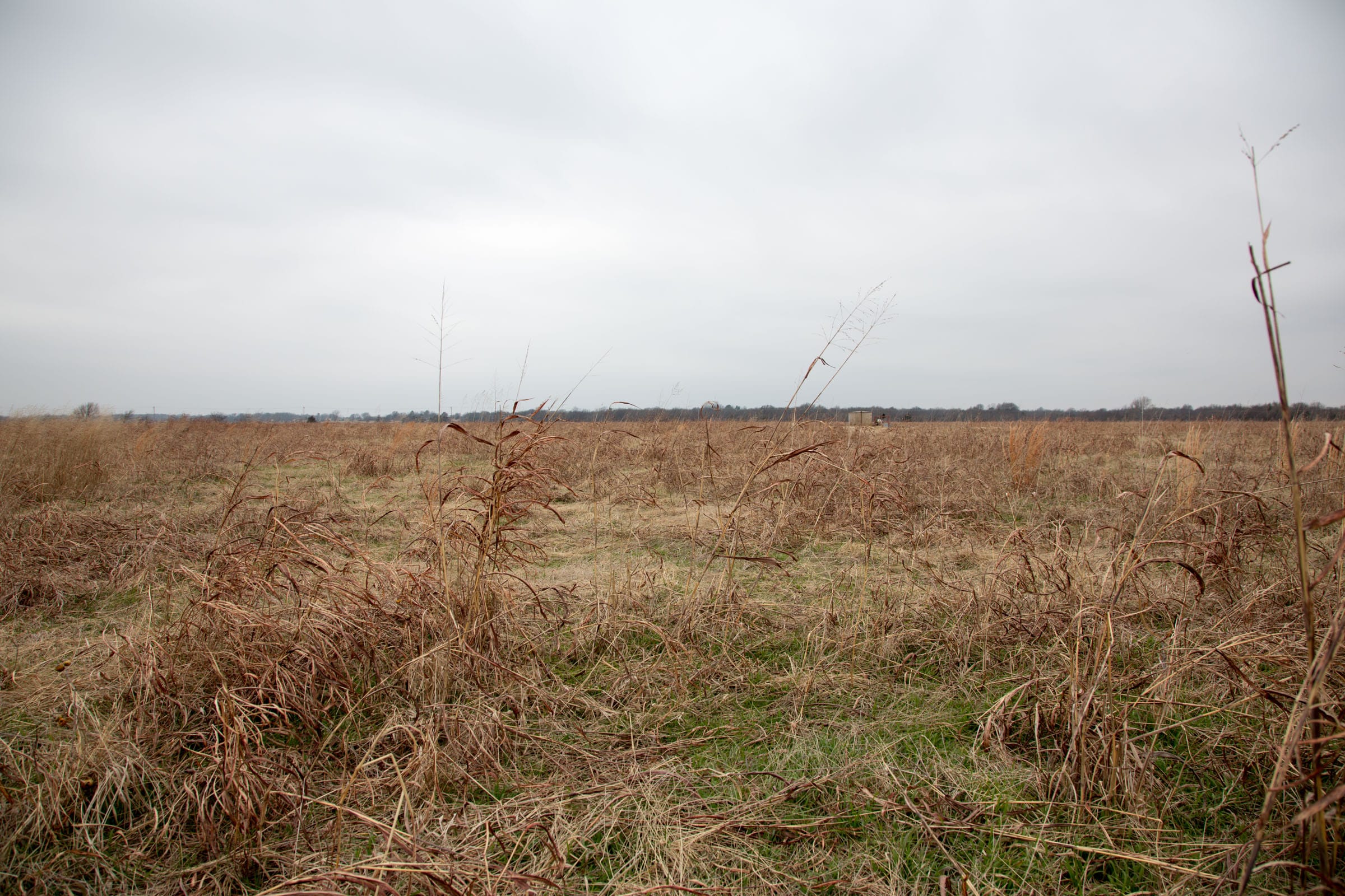 Canadian Plains Tract 42 photo 15