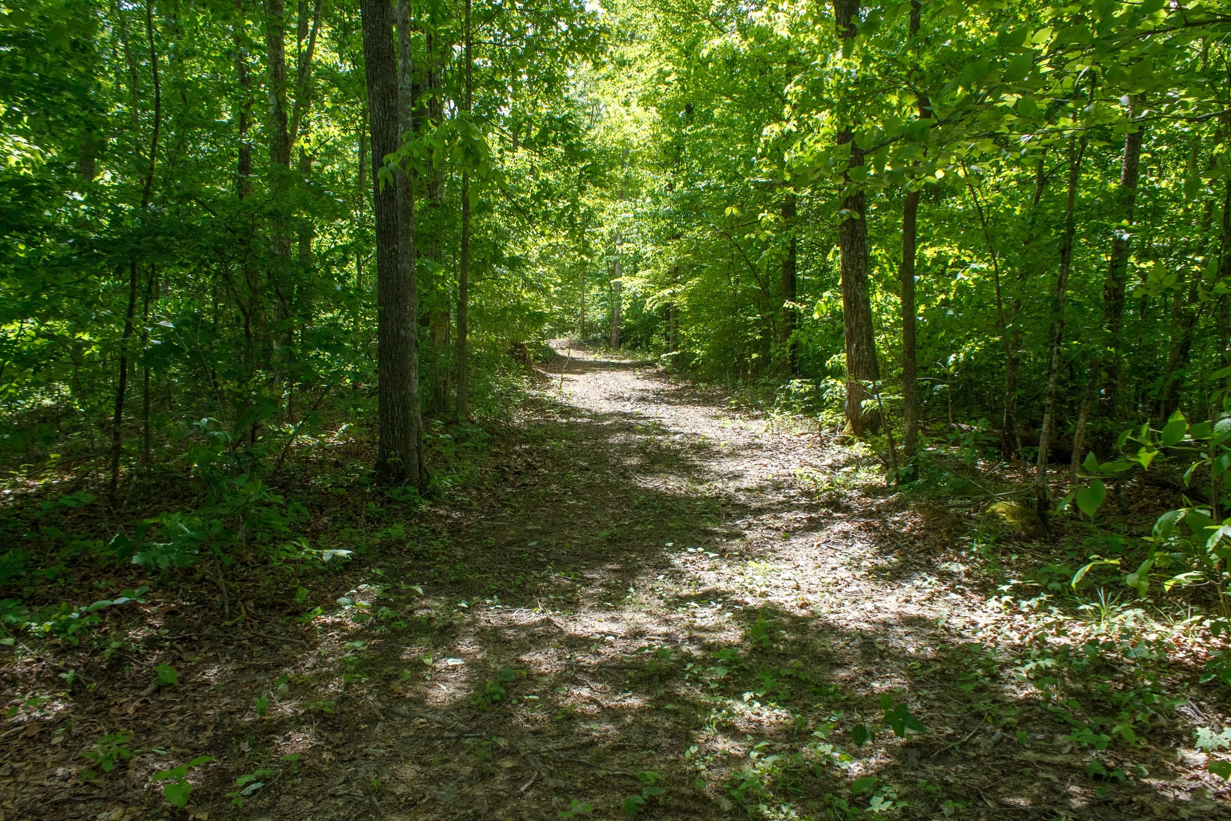 Riverbend Tract 15 photo 1