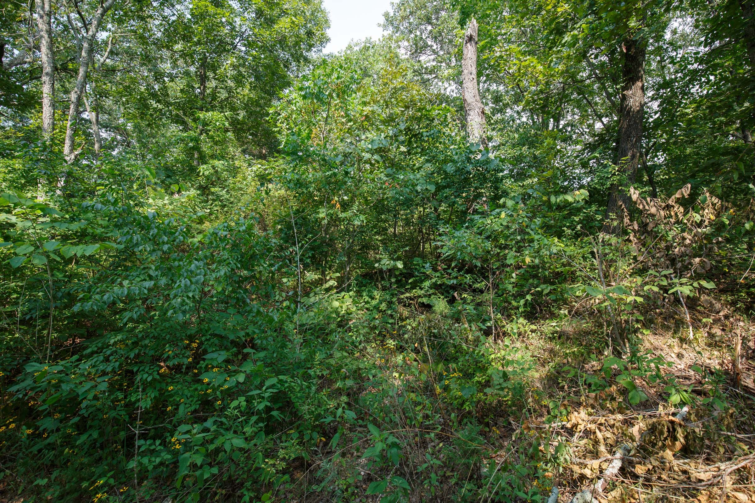 Spring Lake Plat 2 Tract 9 photo 3