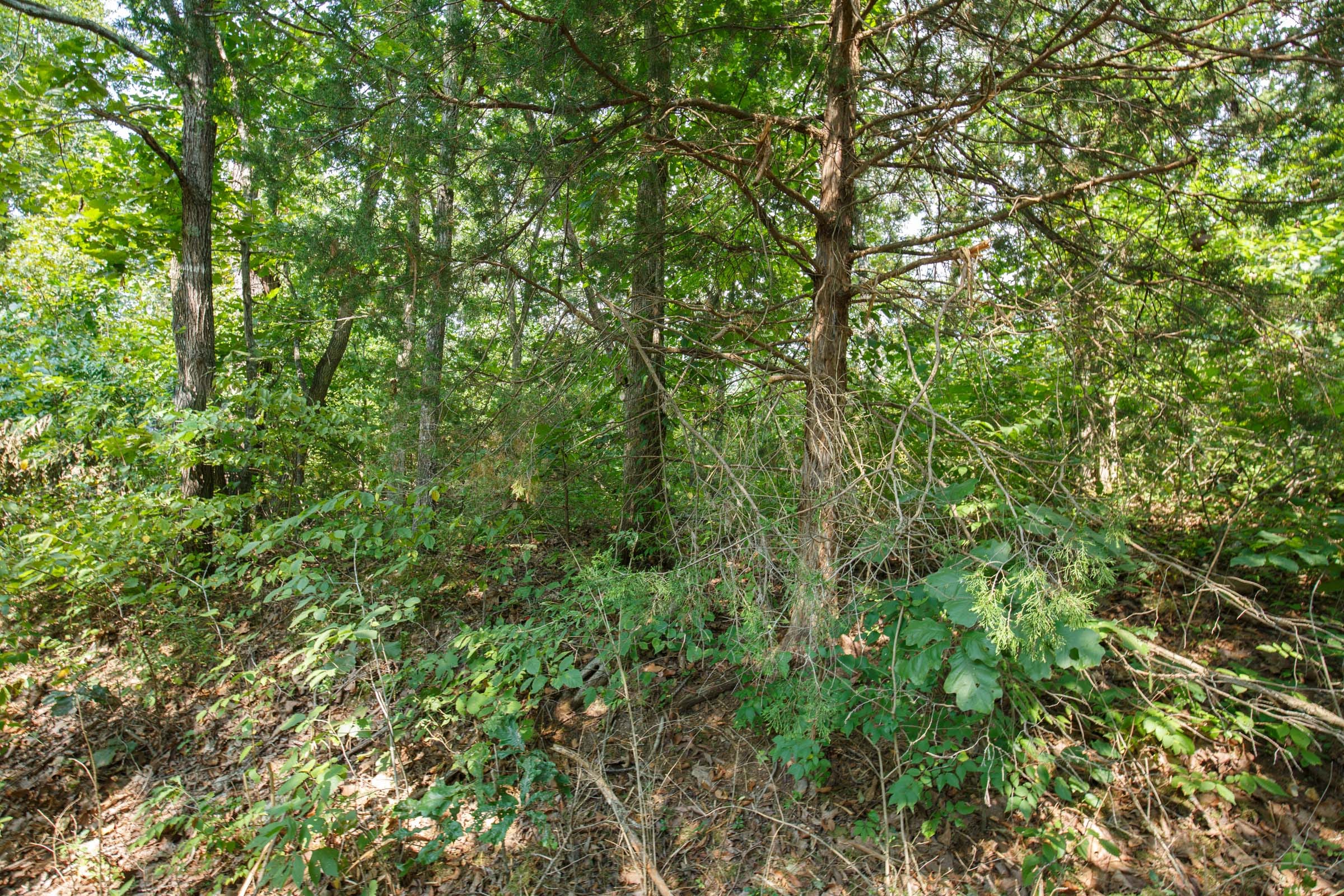 Spring Lake Plat 2 Tract 9 photo 4