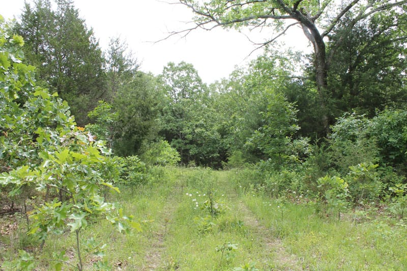 Cedar Ridge Ranch Tract 29 photo 1