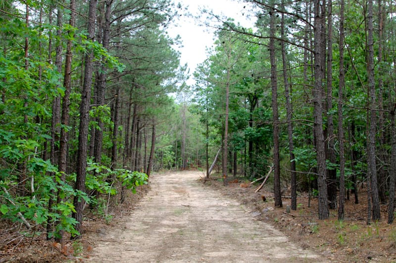 Trophy Ridge Phase II Tract 75 photo 1
