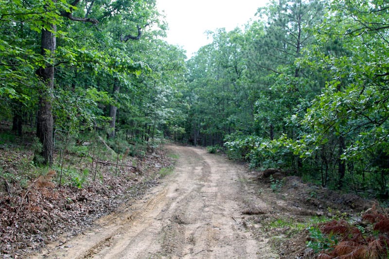 Trophy Ridge Phase II Tract 84 photo 1