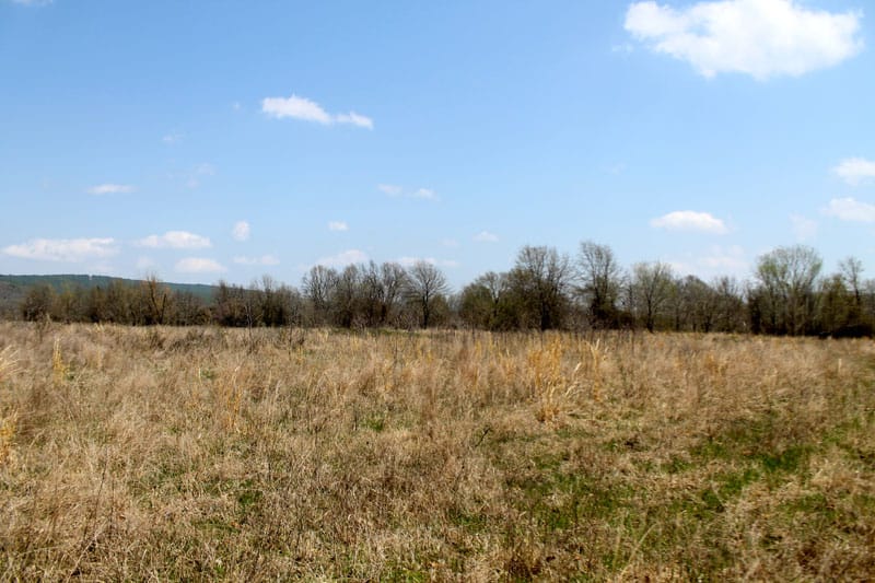 Daisy Meadows Tract 20 photo 2