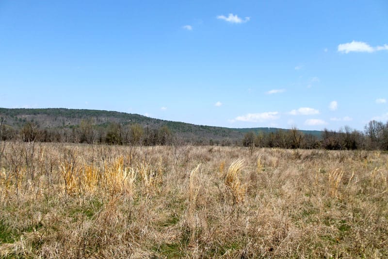 Daisy Meadows Tract 20 photo 3