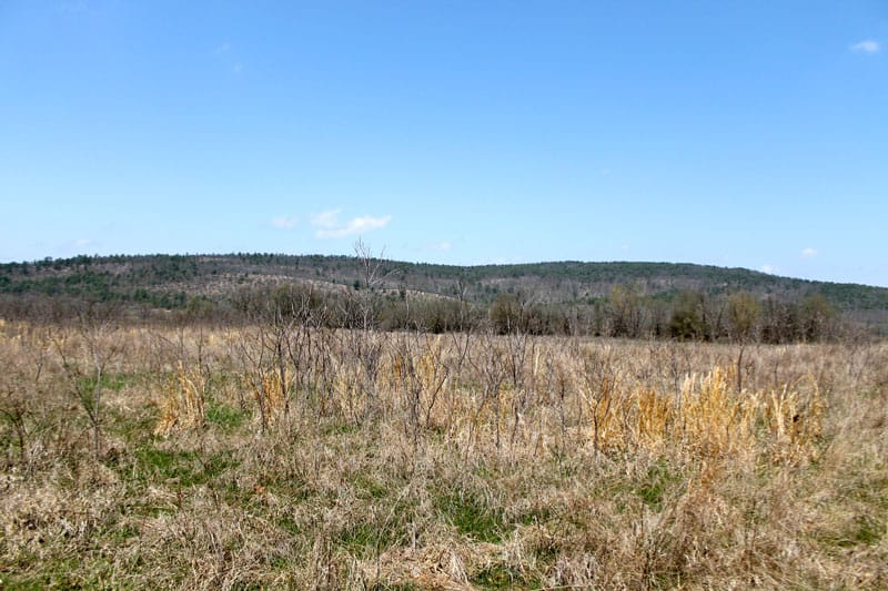 Daisy Meadows Tract 20 photo 4