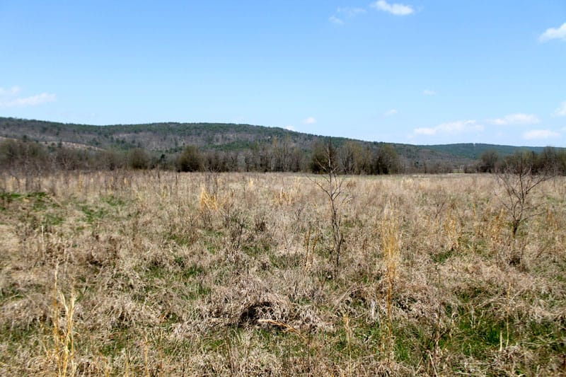 Daisy Meadows Tract 20 photo 5