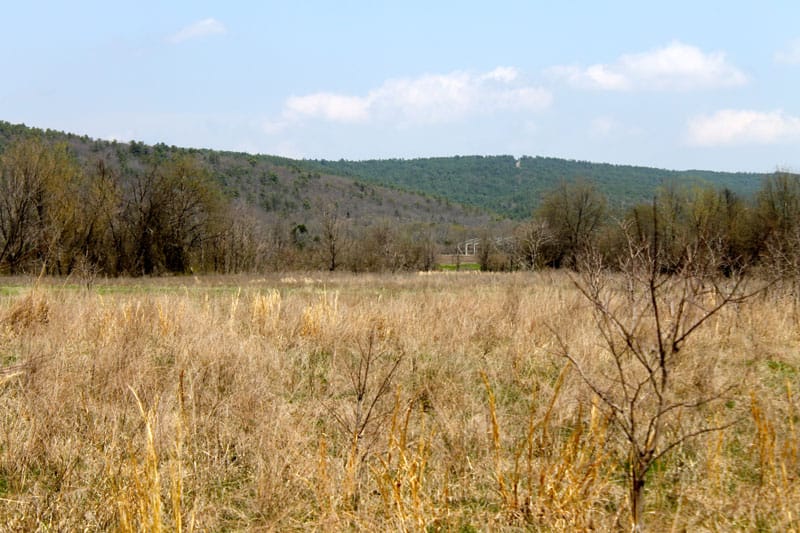 Daisy Meadows Tract 20 photo 6